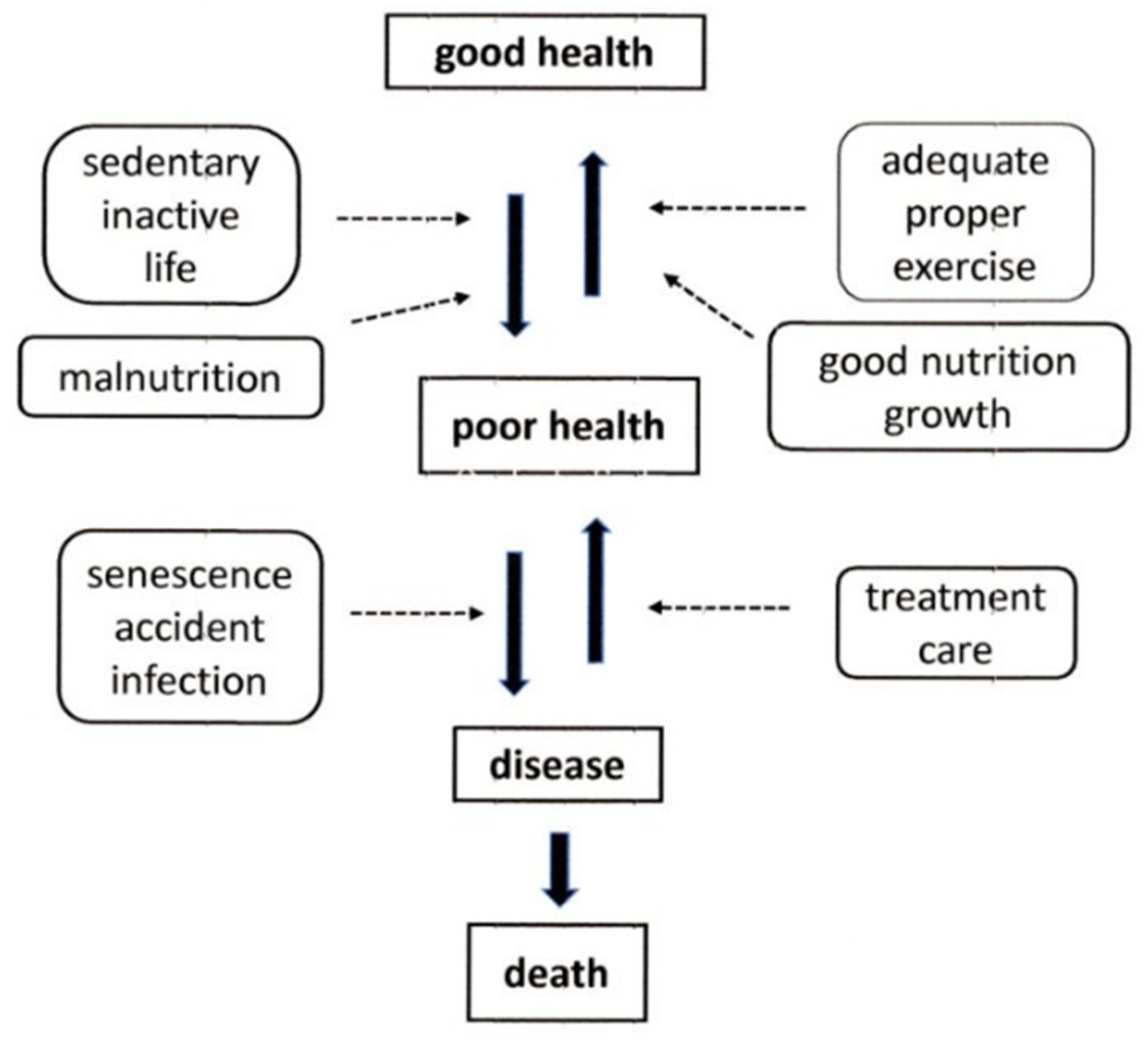 Applsci 13 08296 g006