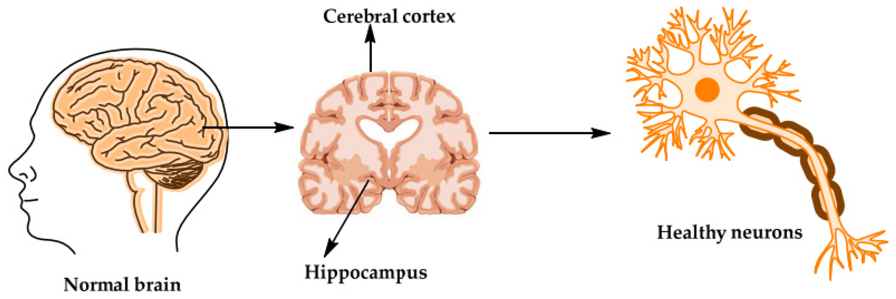 Applsci 13 08298 g003