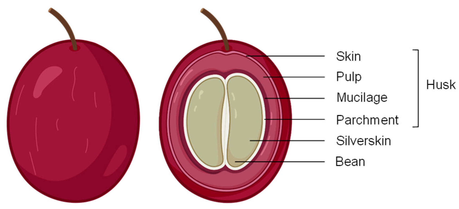 Applsci 13 08326 g001