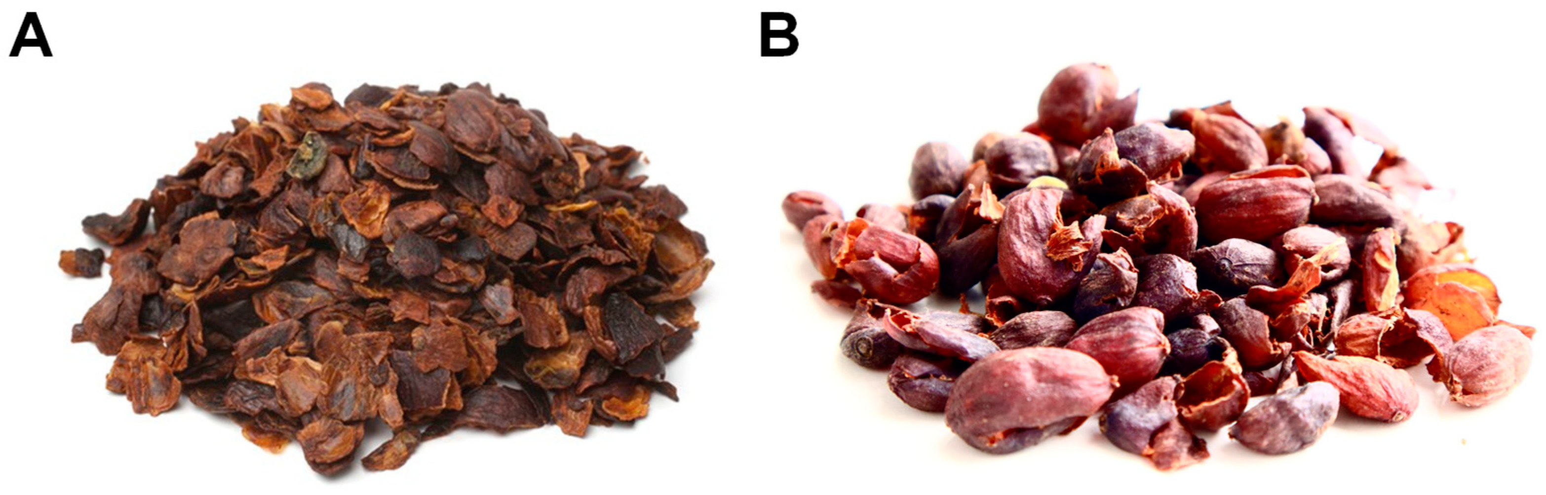 Applsci 13 08326 g003