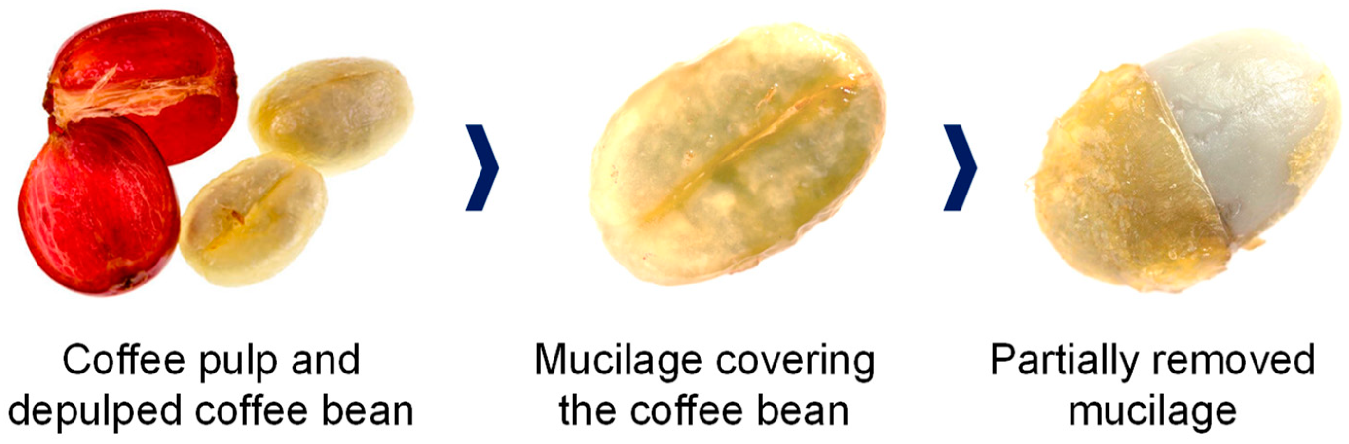 Applsci 13 08326 g004