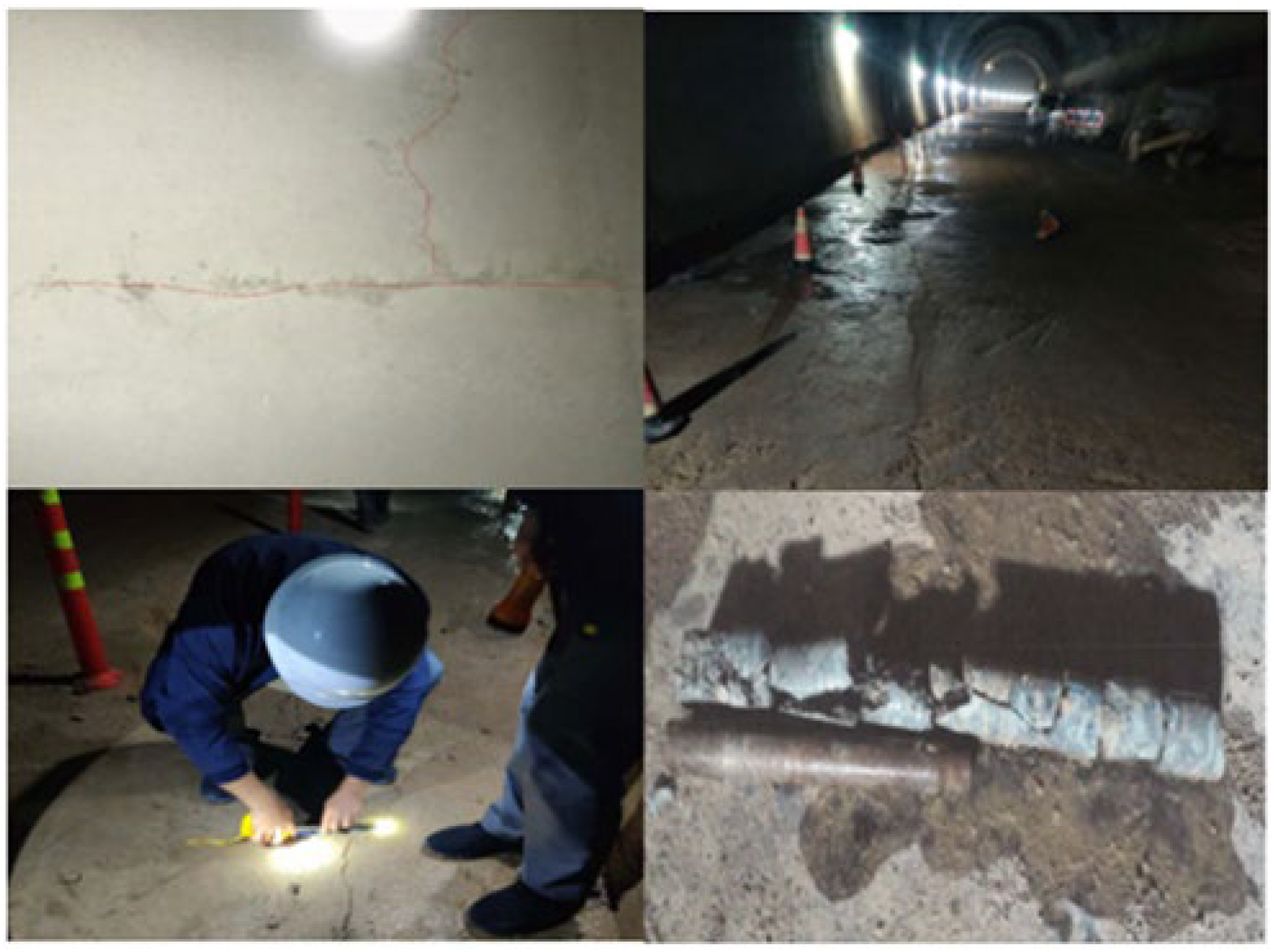 Applsci 13 08328 g001