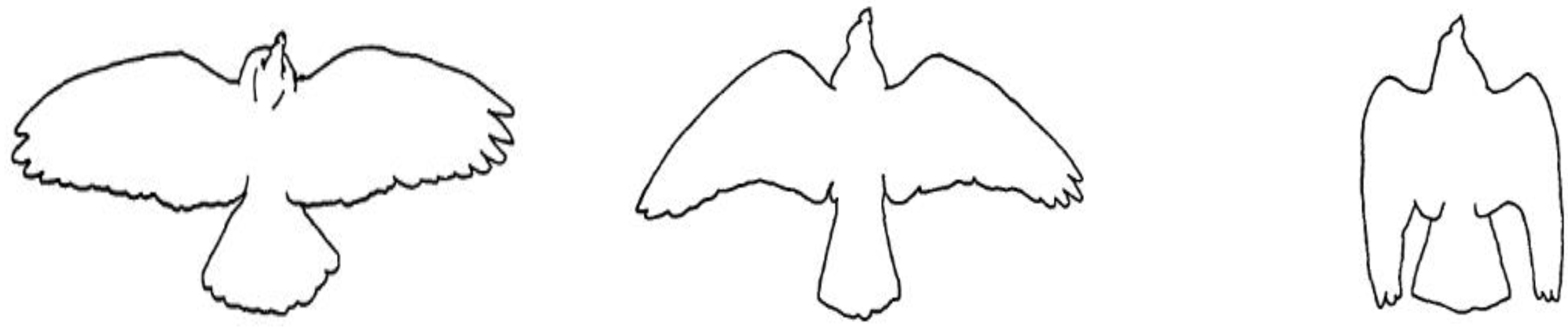 Applsci 13 08345 g005