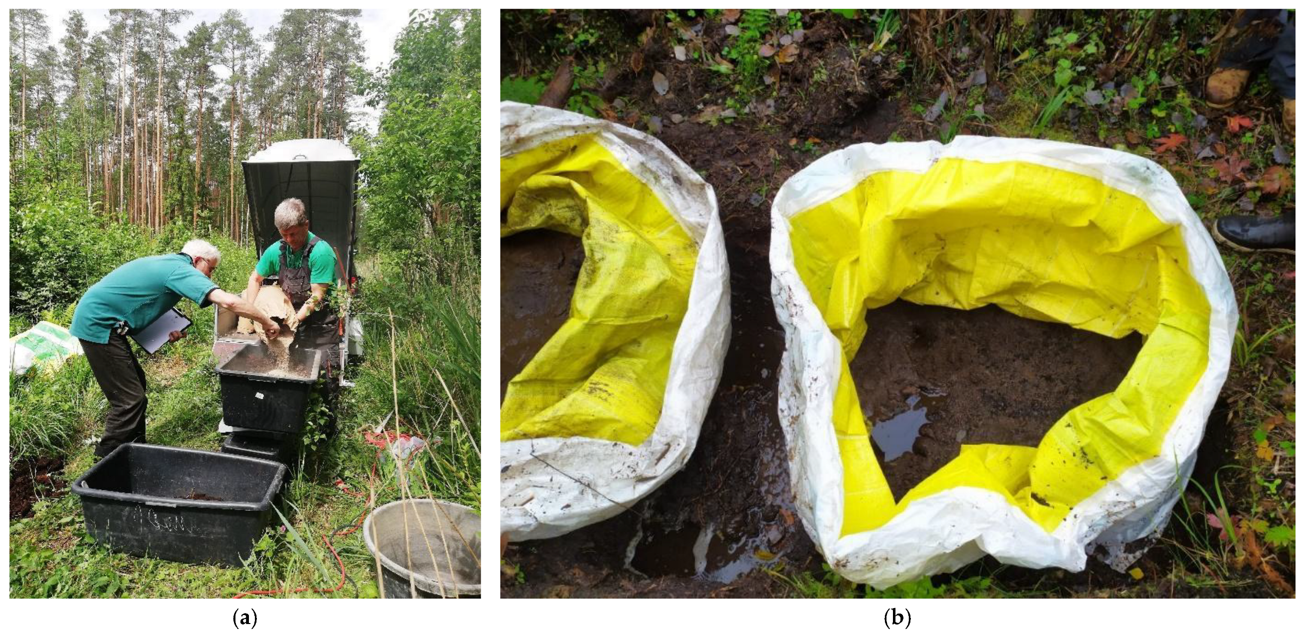 Applsci 13 08366 g002