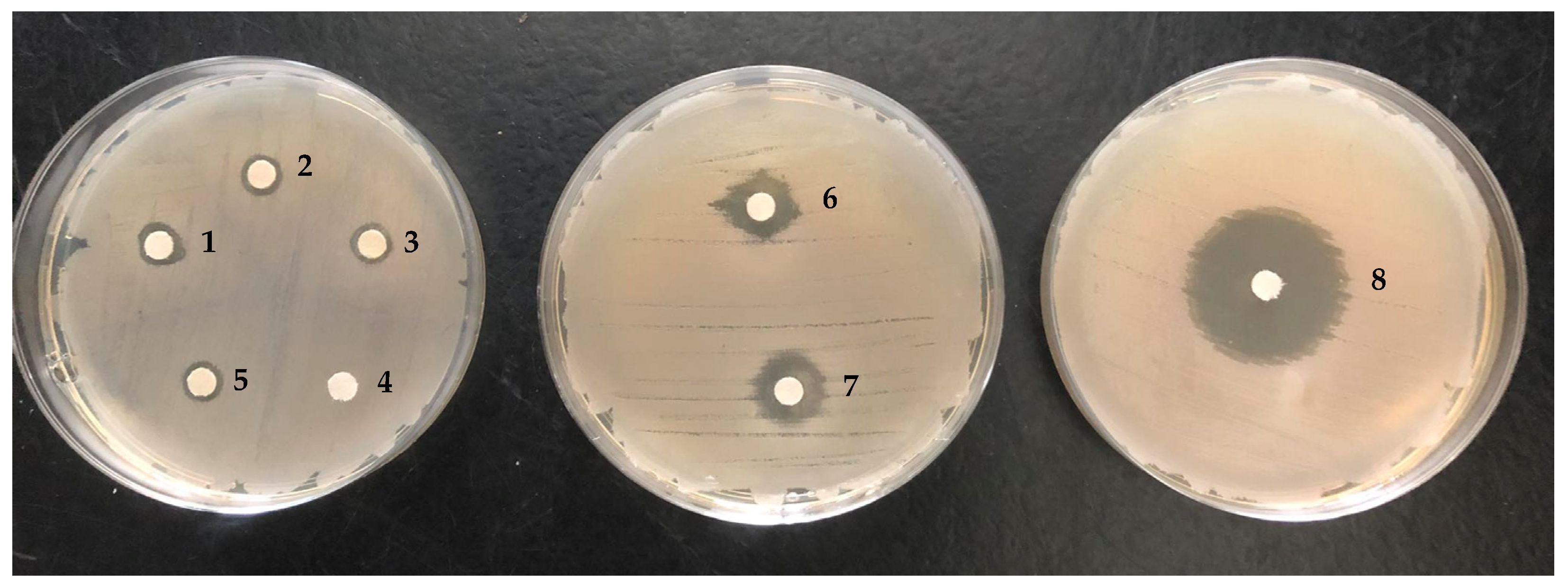 Applsci 13 08375 g003