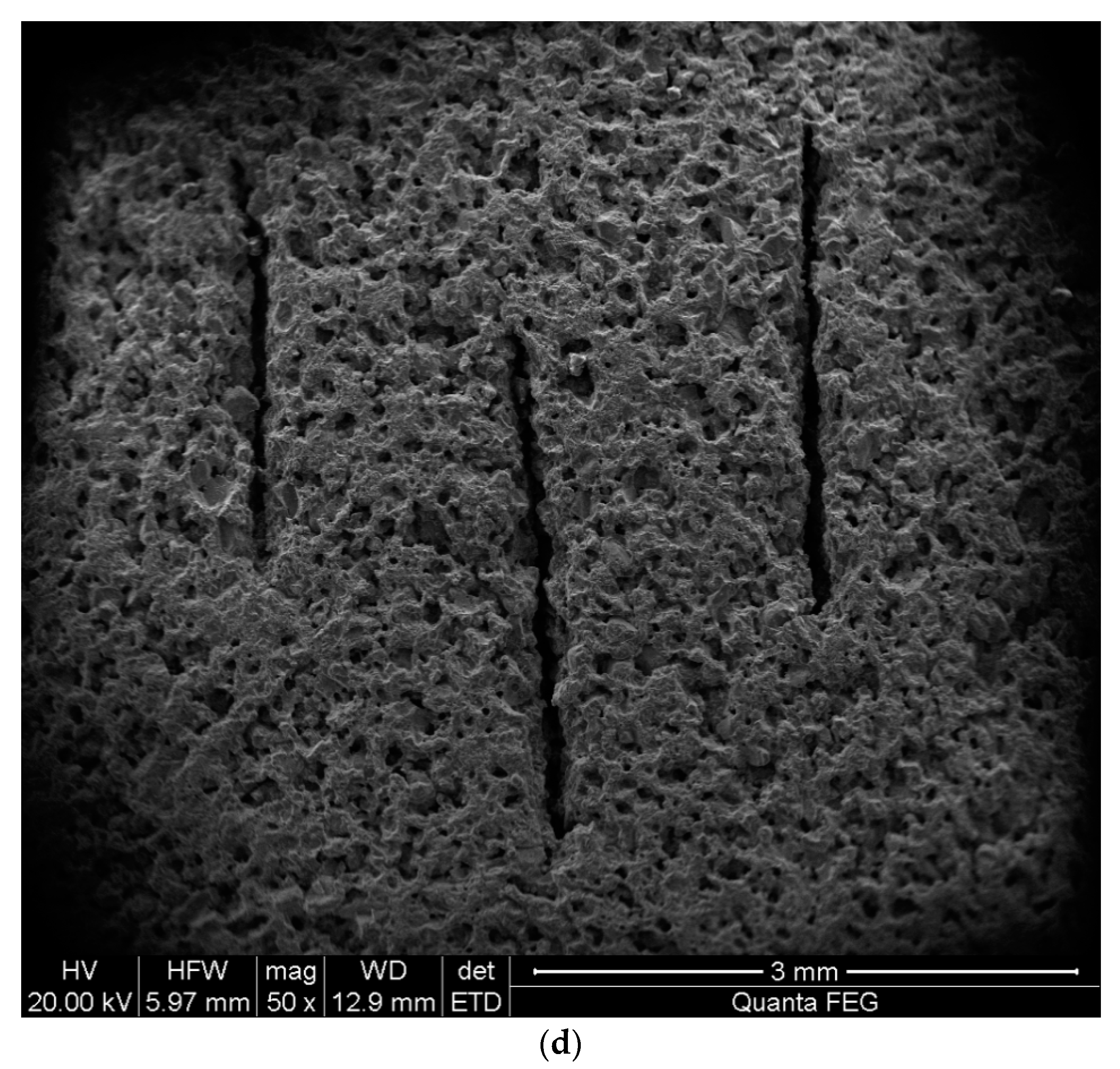 Applsci 13 08379 g003c