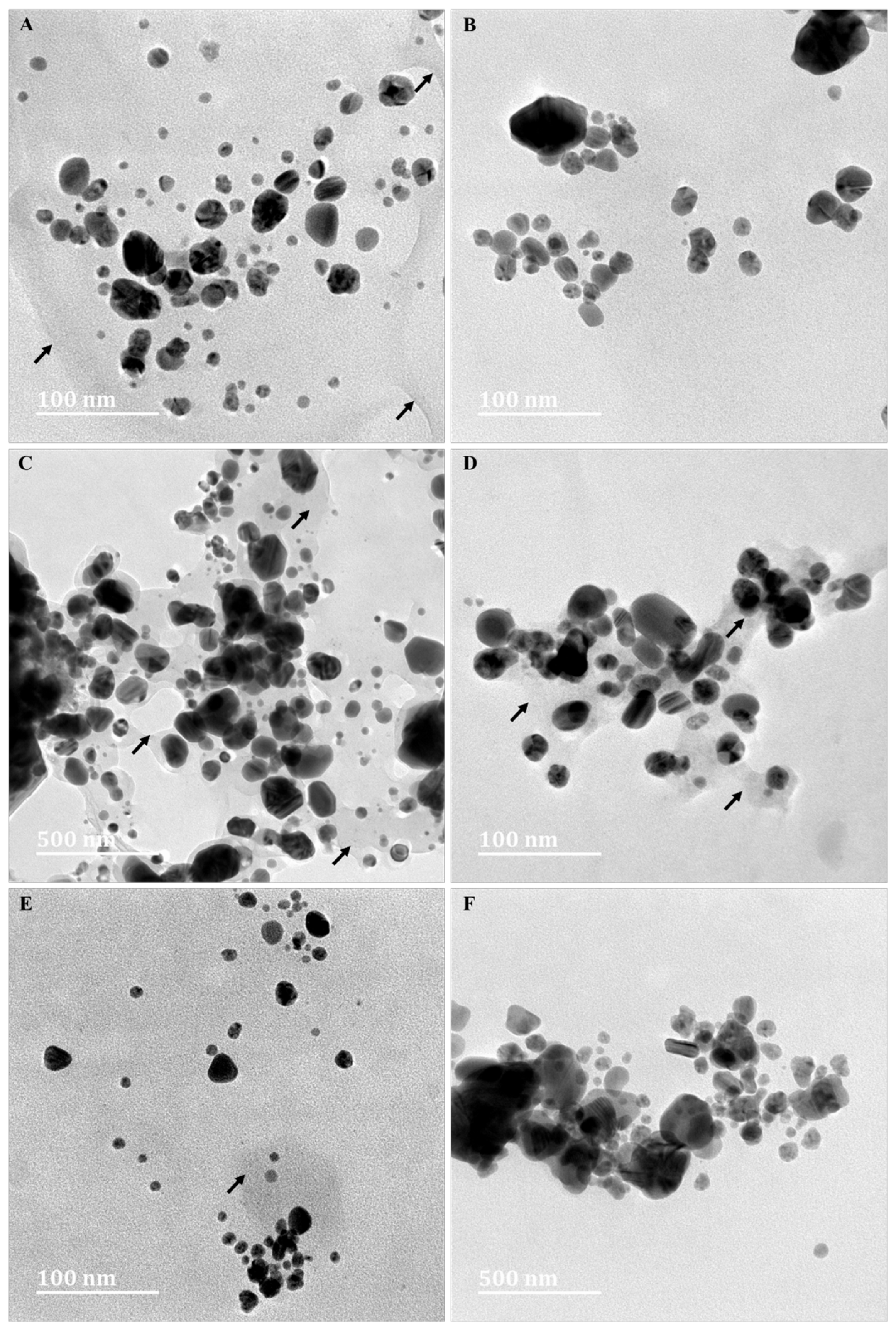 Applsci 13 08395 g005