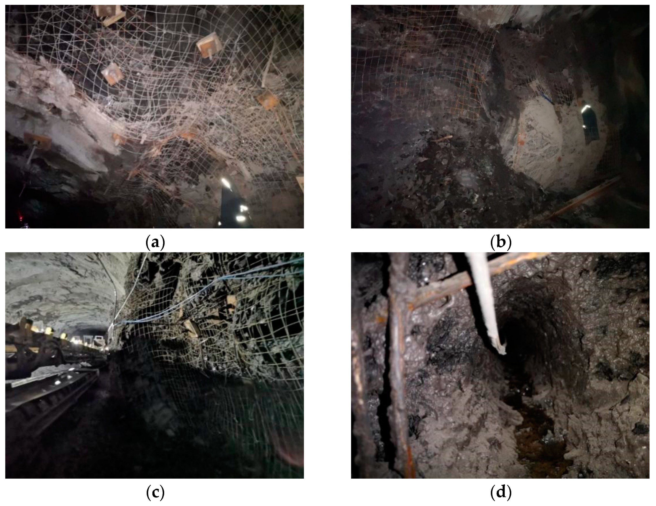 Applsci 13 08397 g011