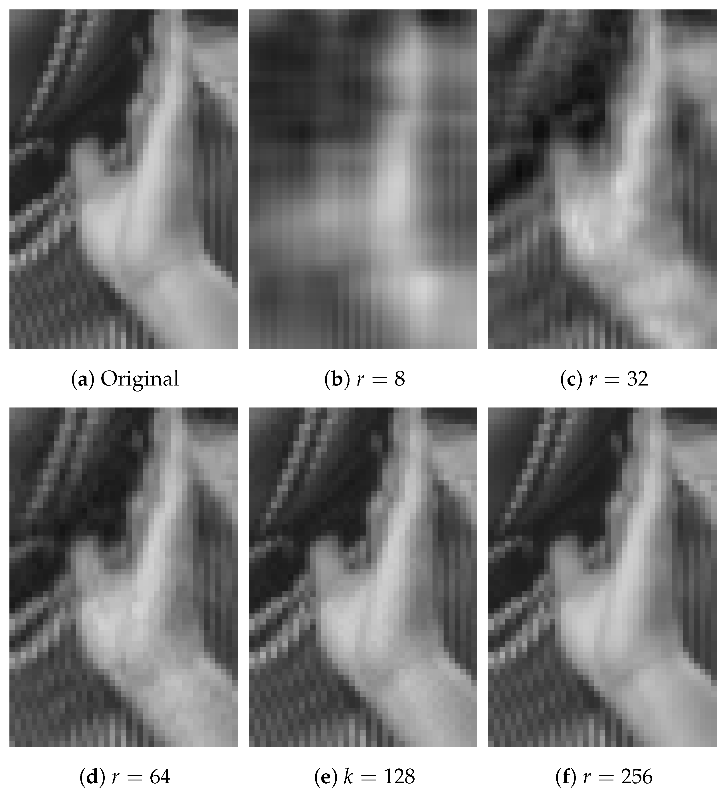 Applsci 13 08430 g007