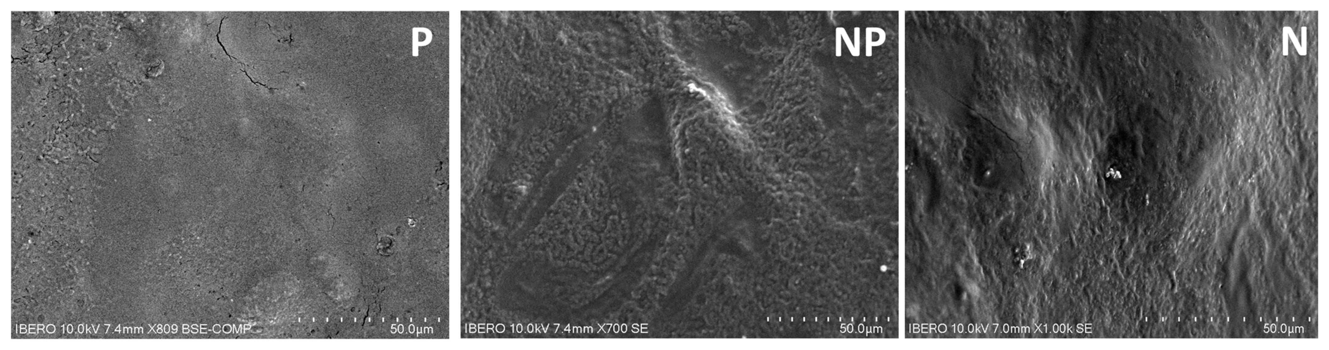 Applsci 13 08436 g005