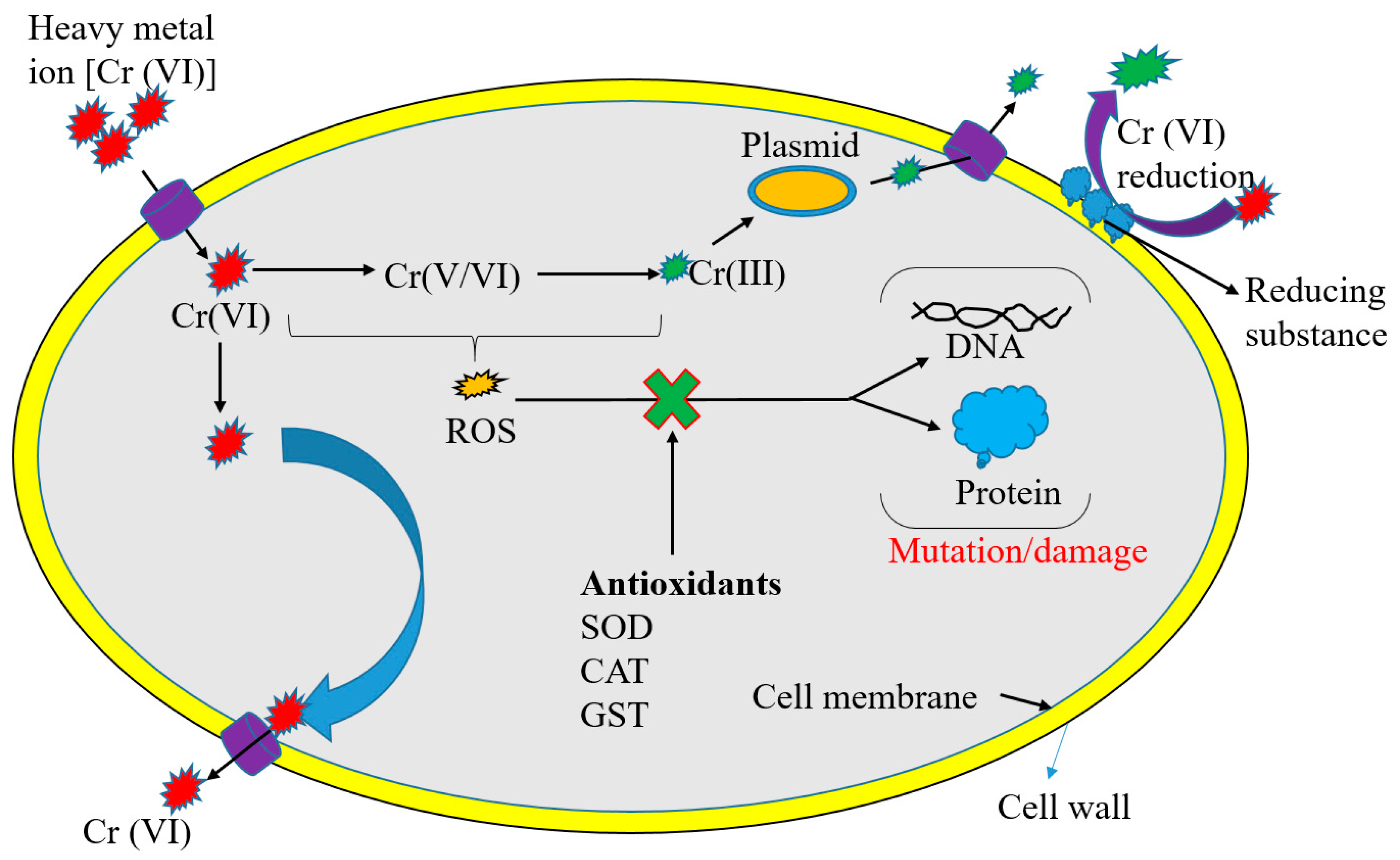 Applsci 13 08439 g001