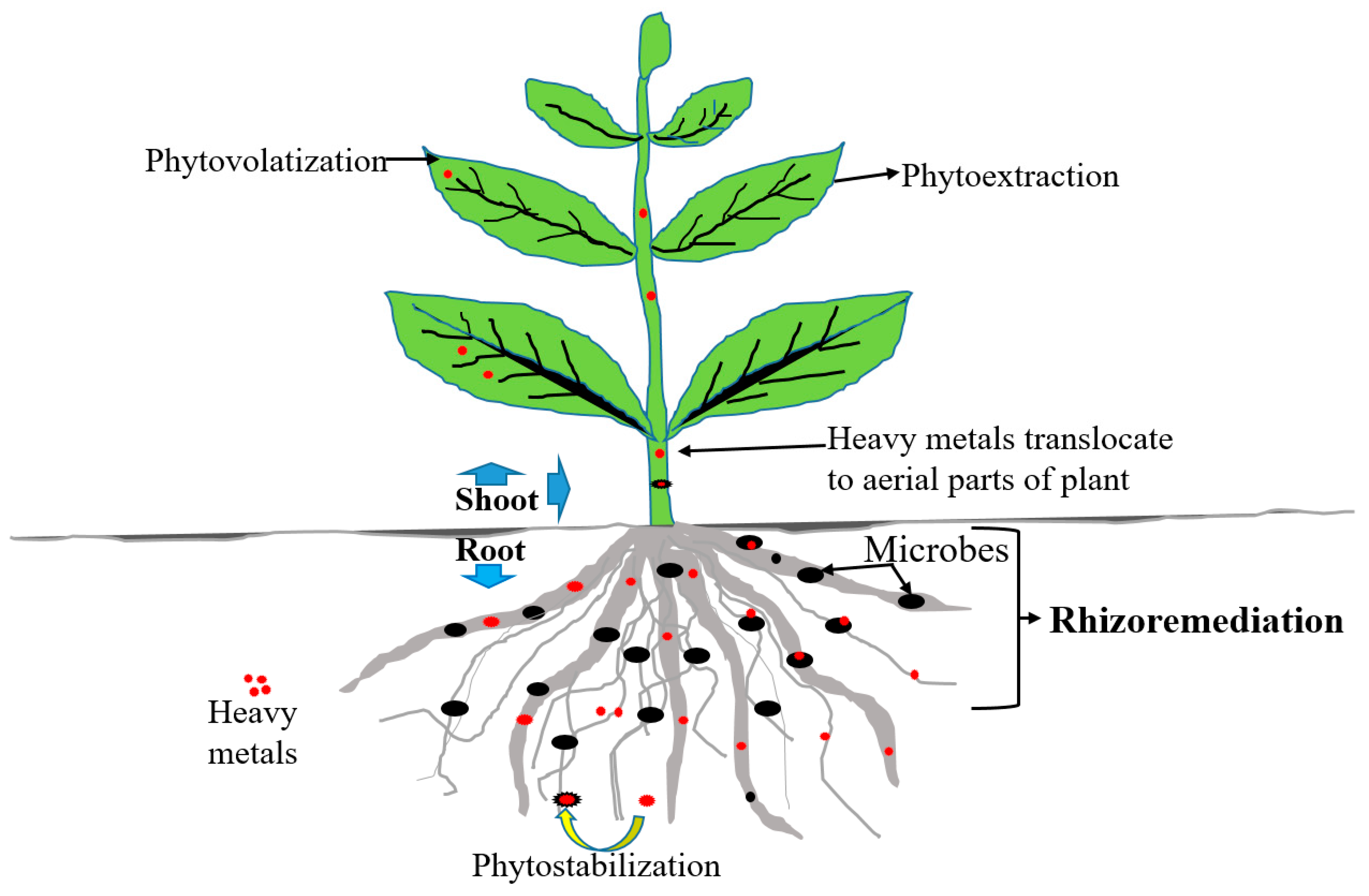 Applsci 13 08439 g002