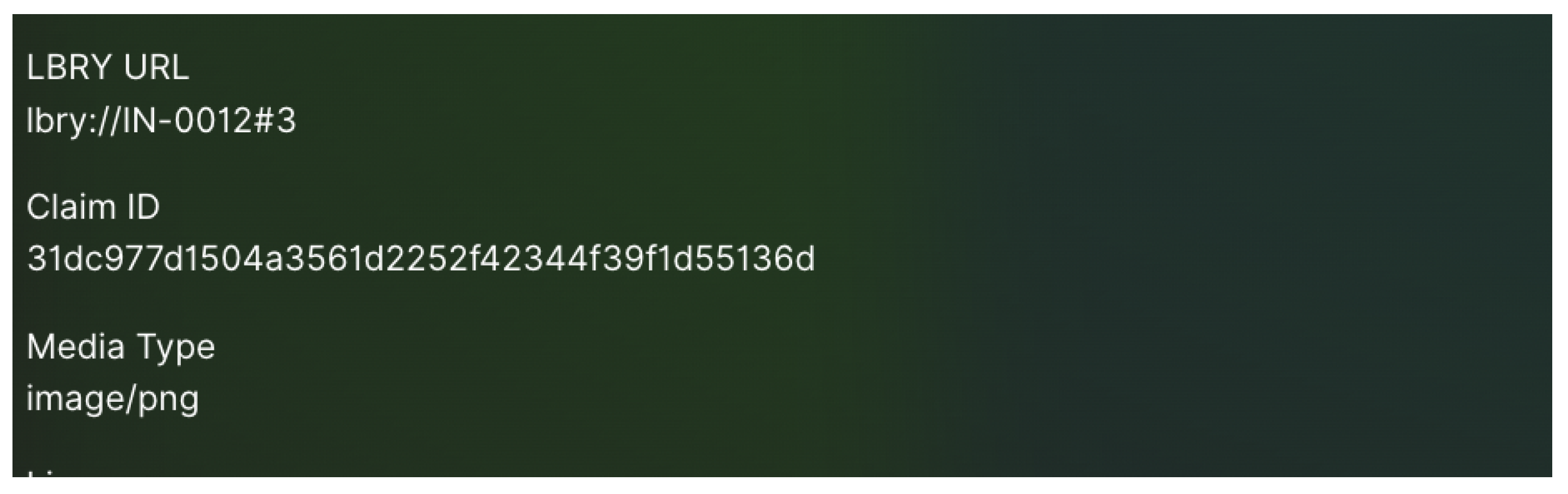 Applsci 13 08463 g006