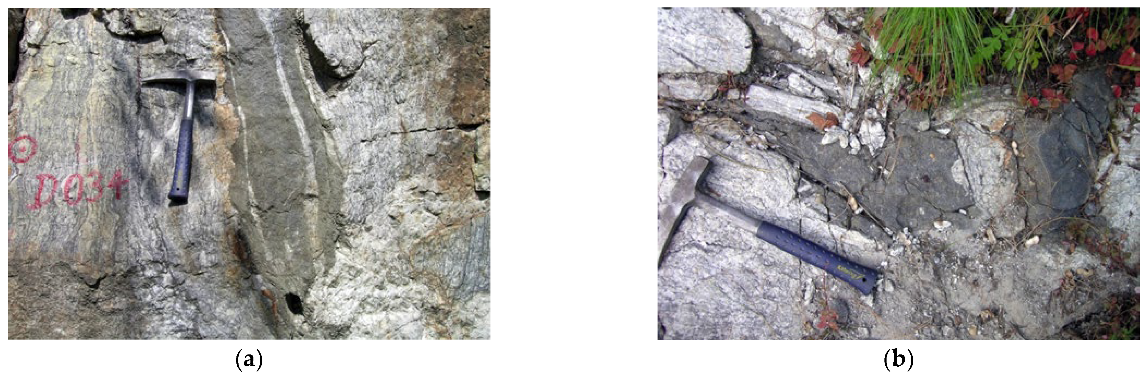 Applsci 13 08467 g005