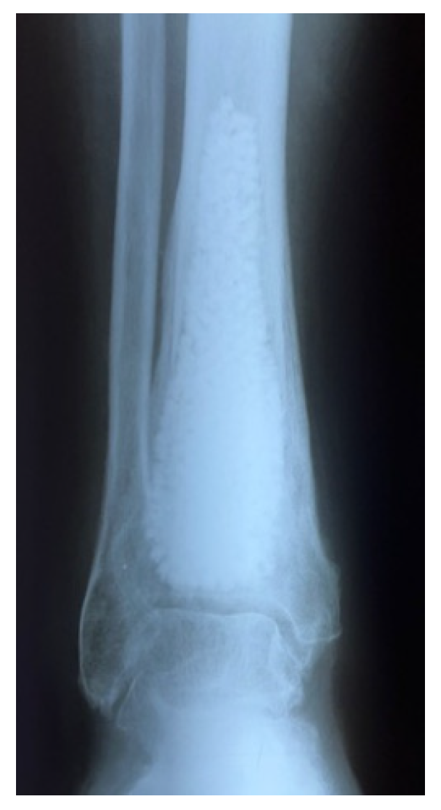 Applsci 13 08471 g003