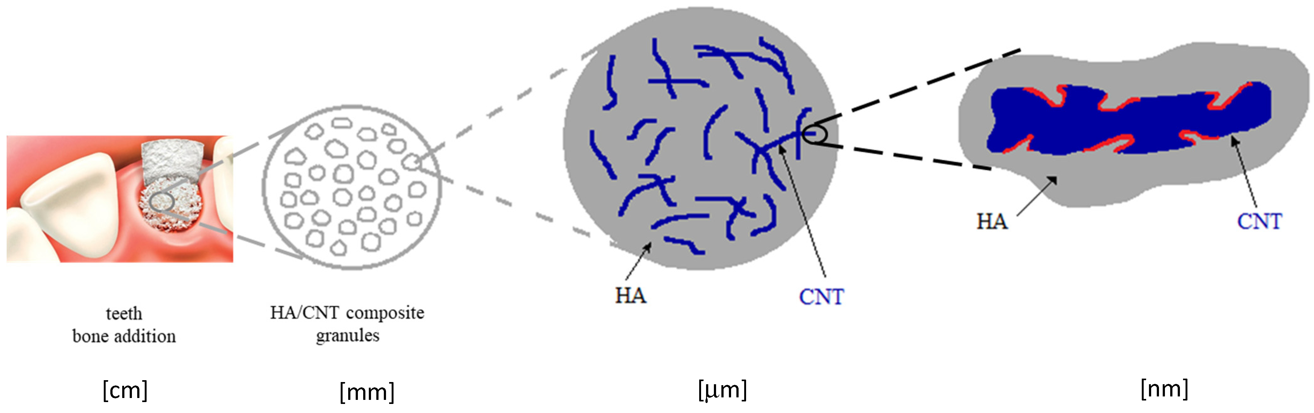 Applsci 13 08471 g006