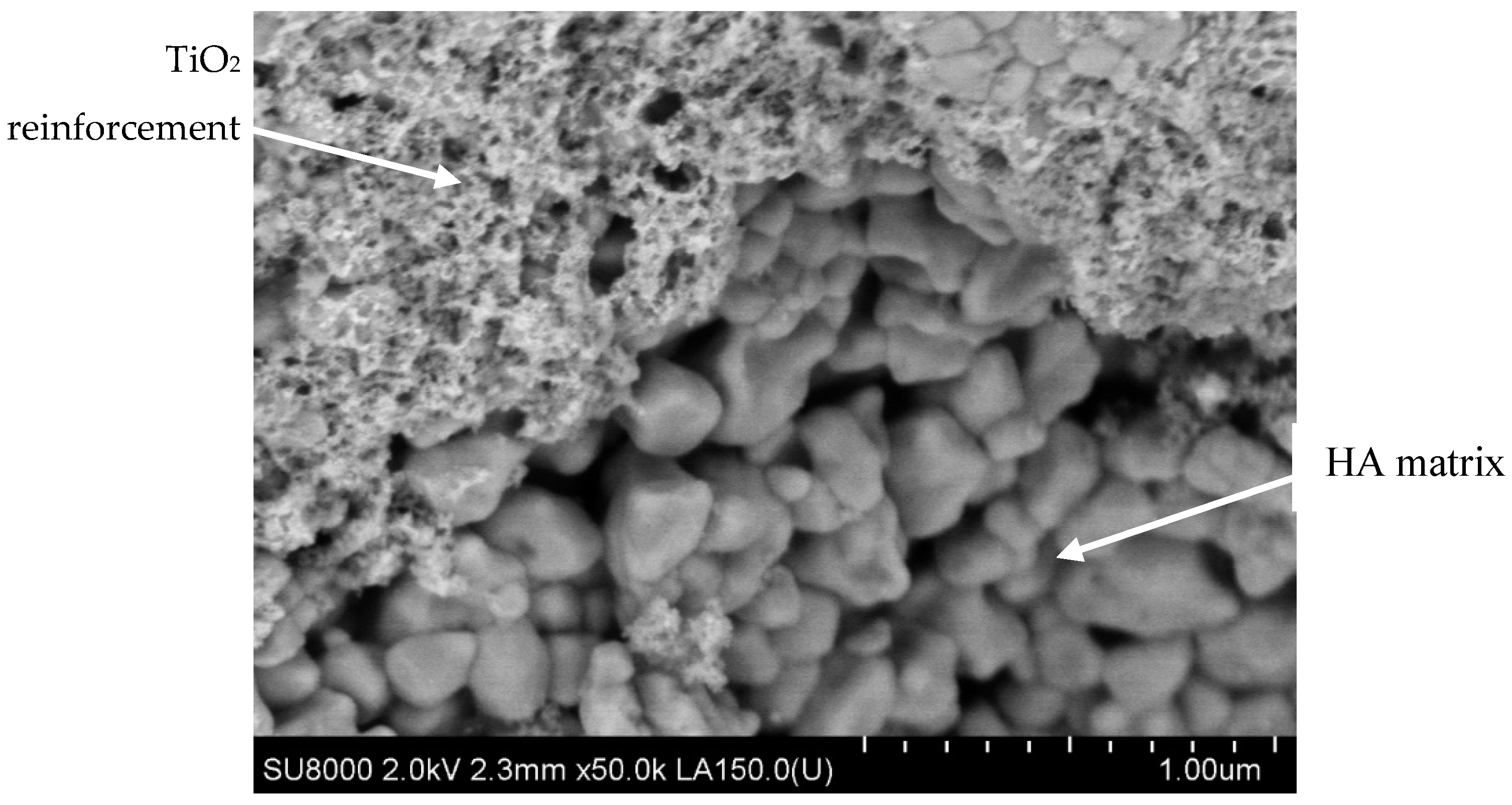 Applsci 13 08471 g008