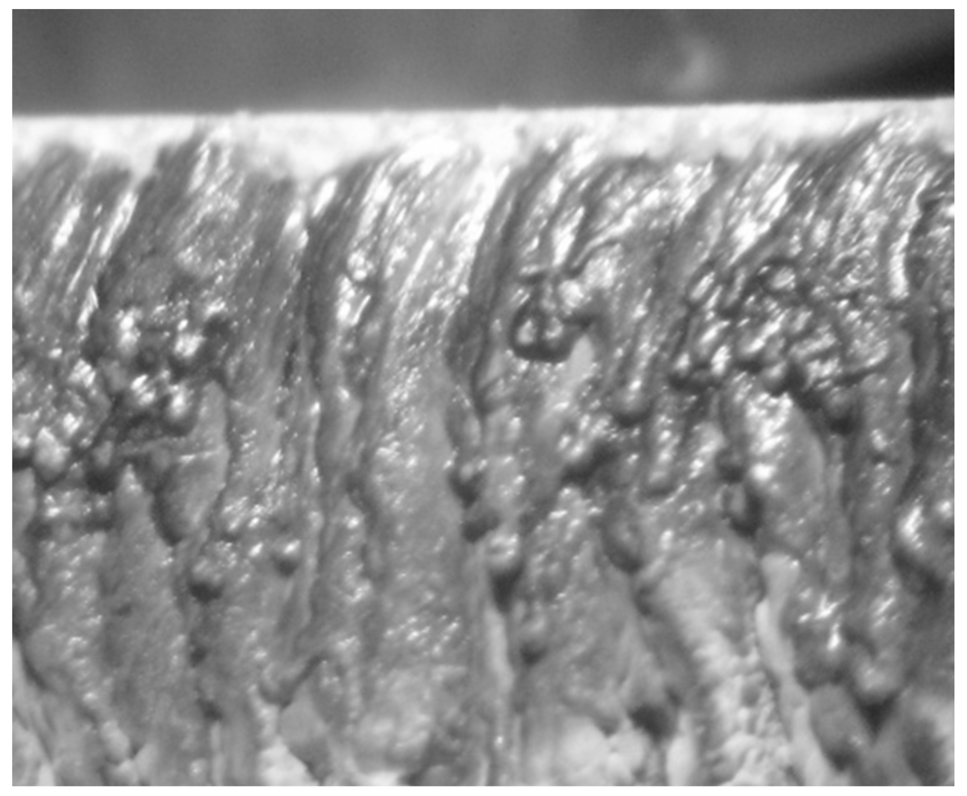 Applsci 13 08471 g009