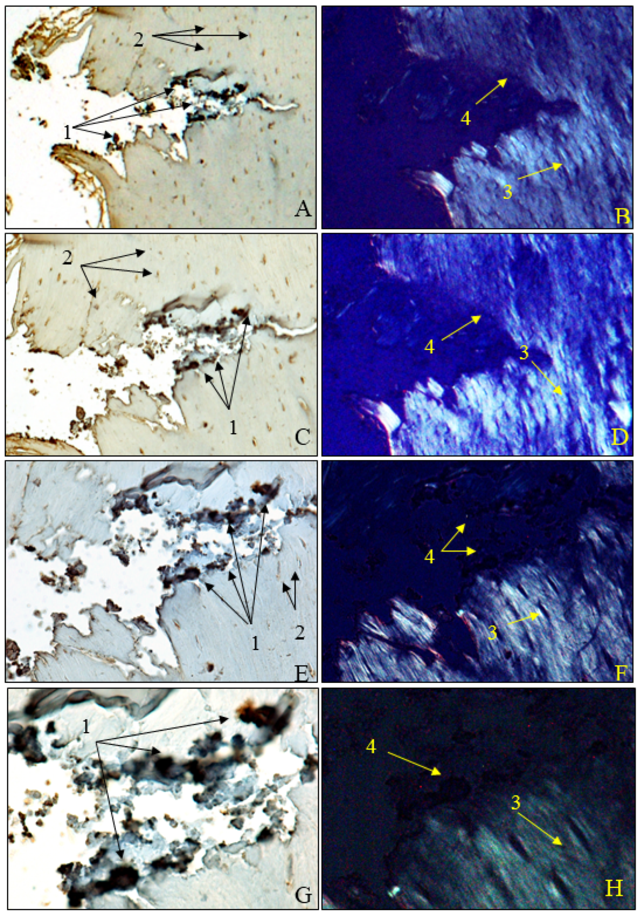 Applsci 13 08471 g010