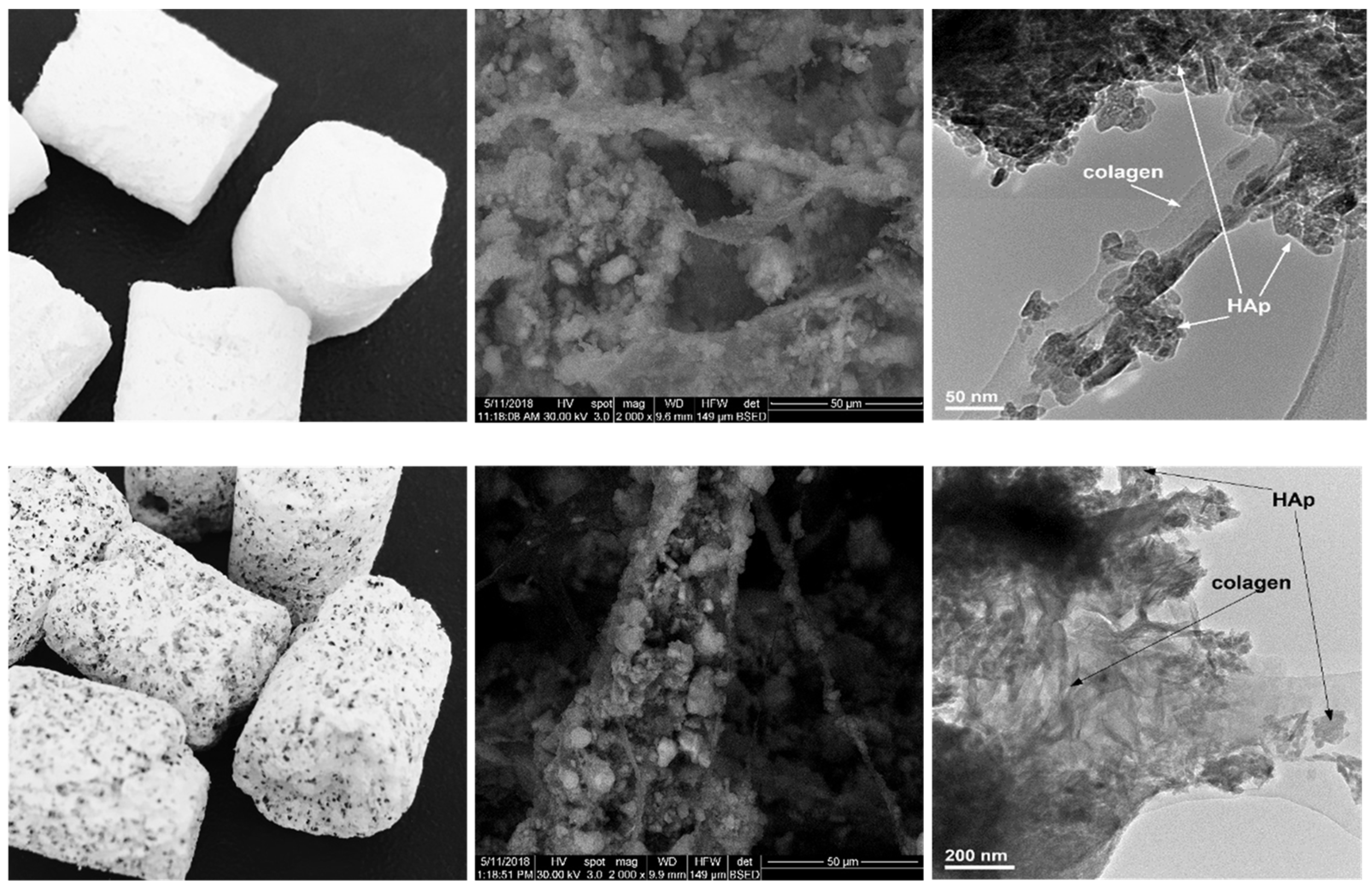 Applsci 13 08471 g011