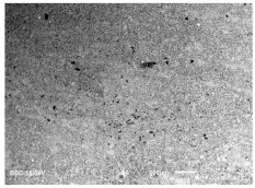 Applsci 13 08474 i002