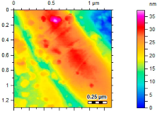 Applsci 13 08474 i006