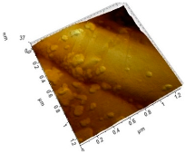 Applsci 13 08474 i009