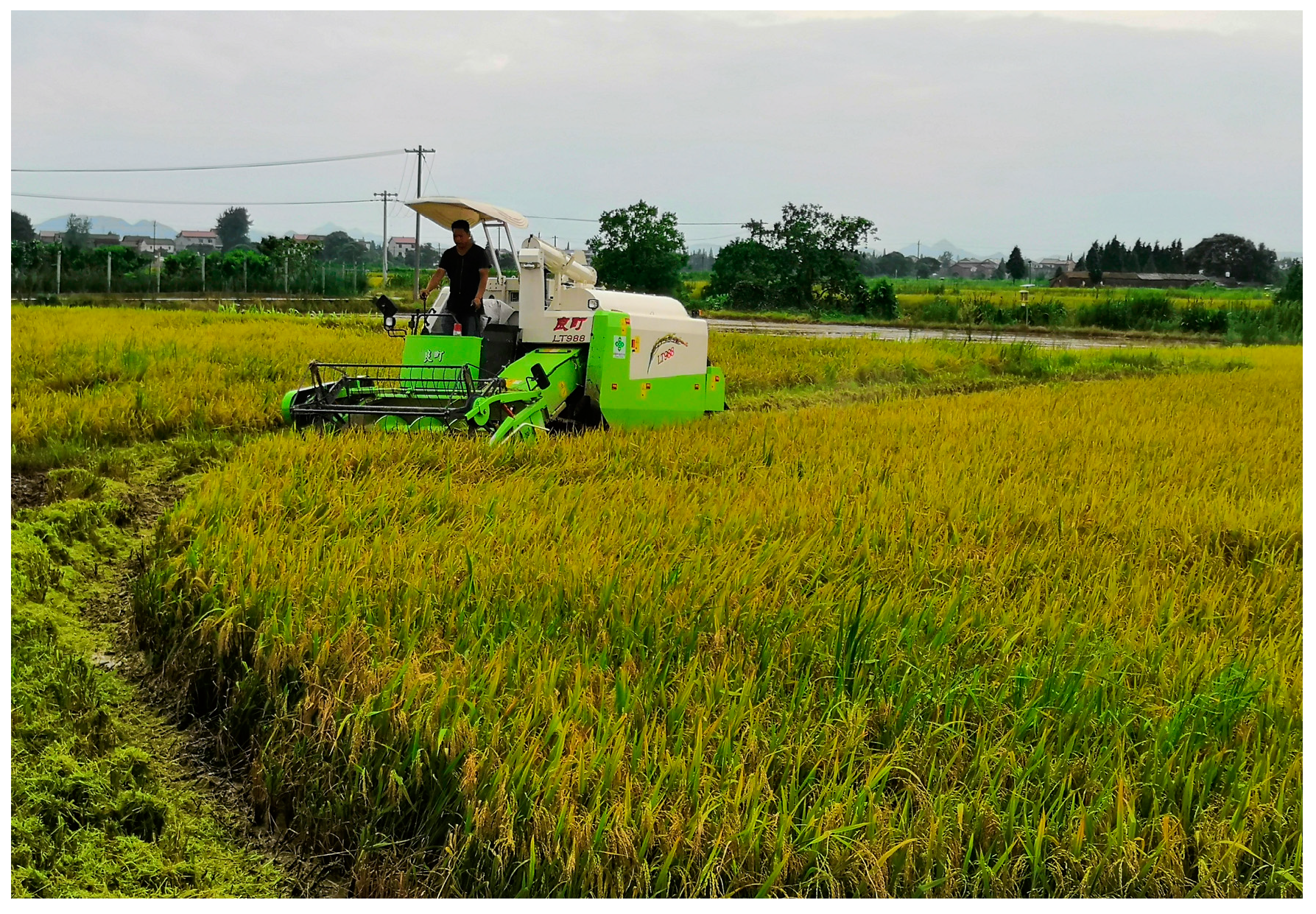 Applsci 13 08476 g006