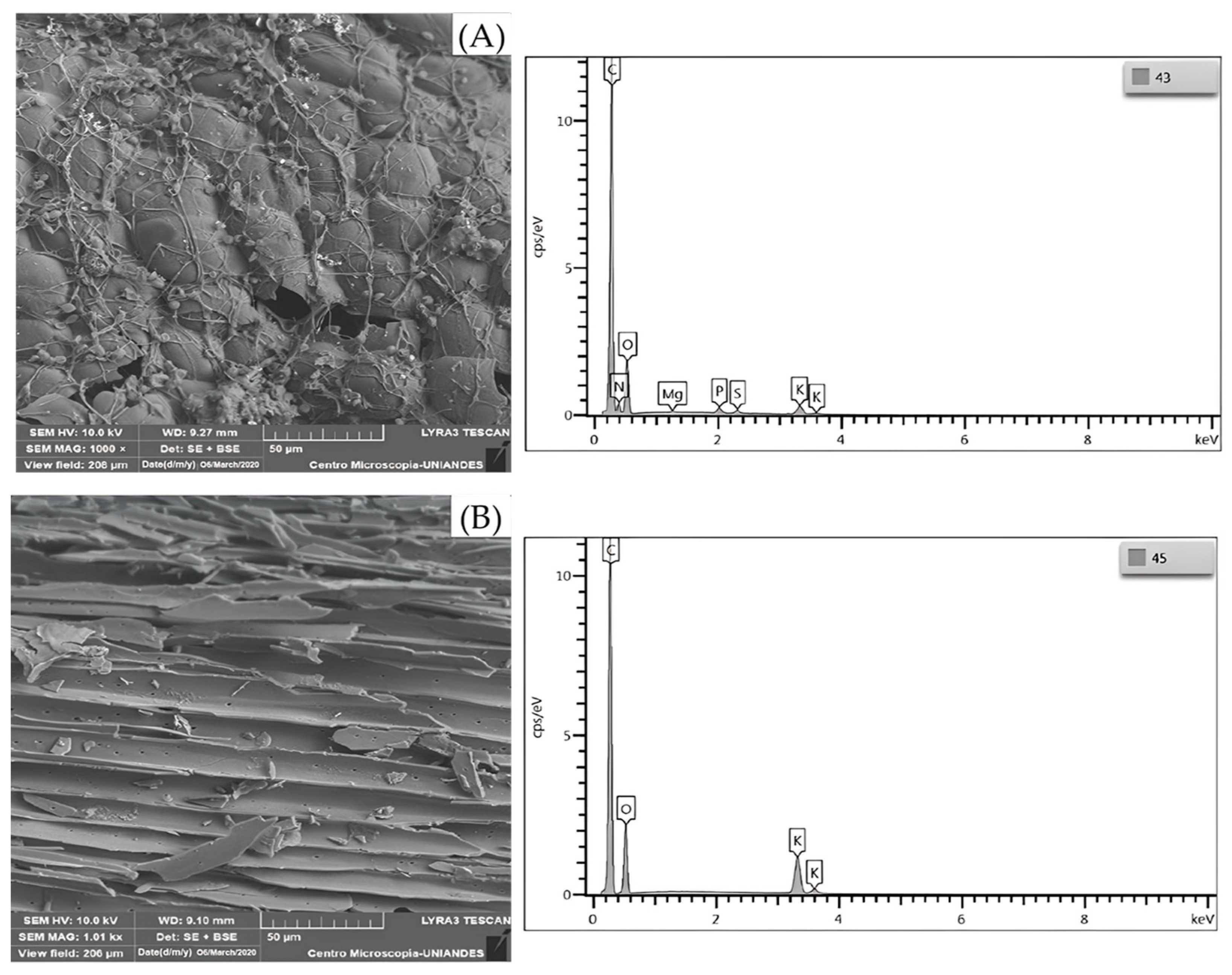 Applsci 13 08481 g002