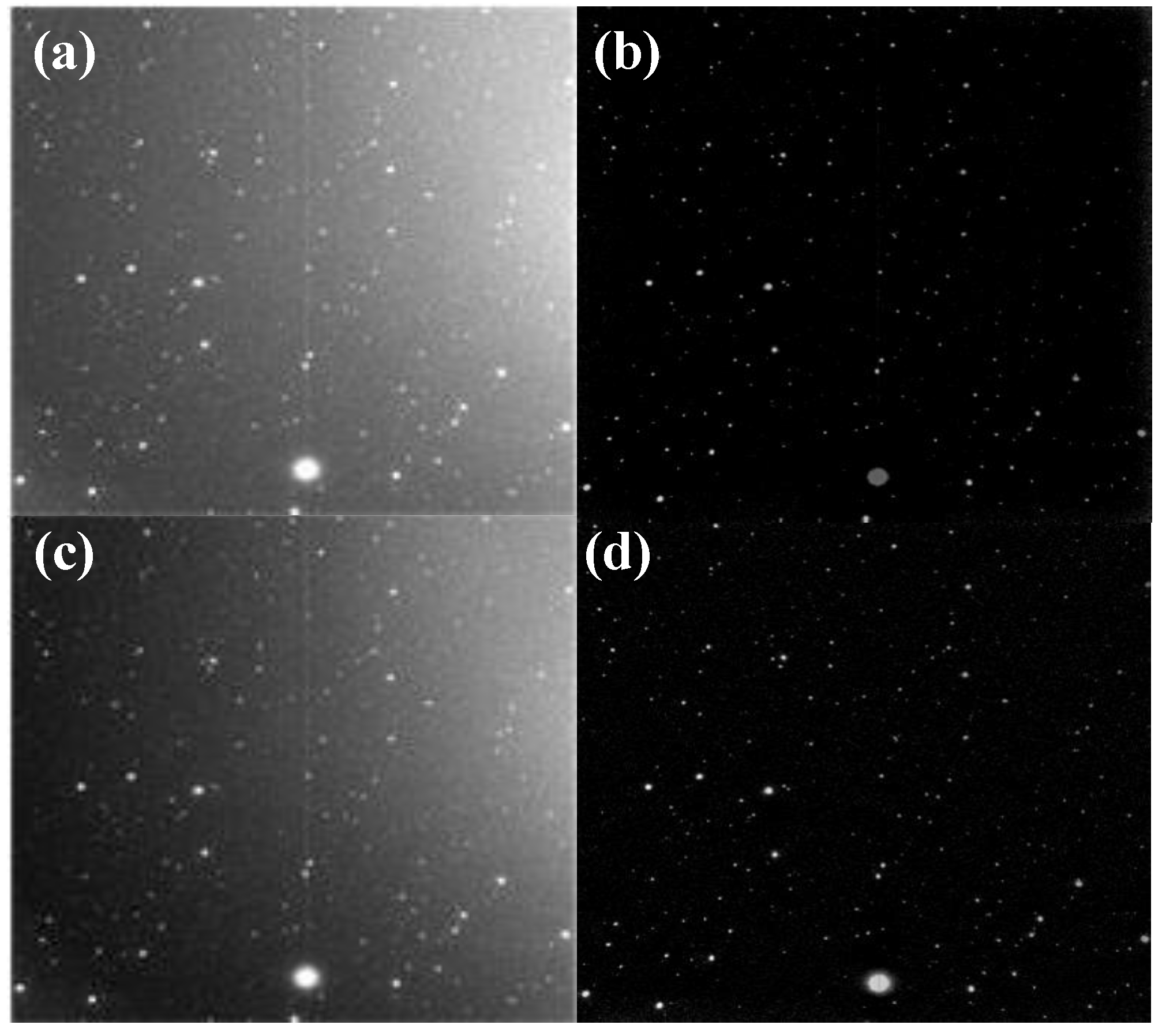 Applsci 13 08484 g004