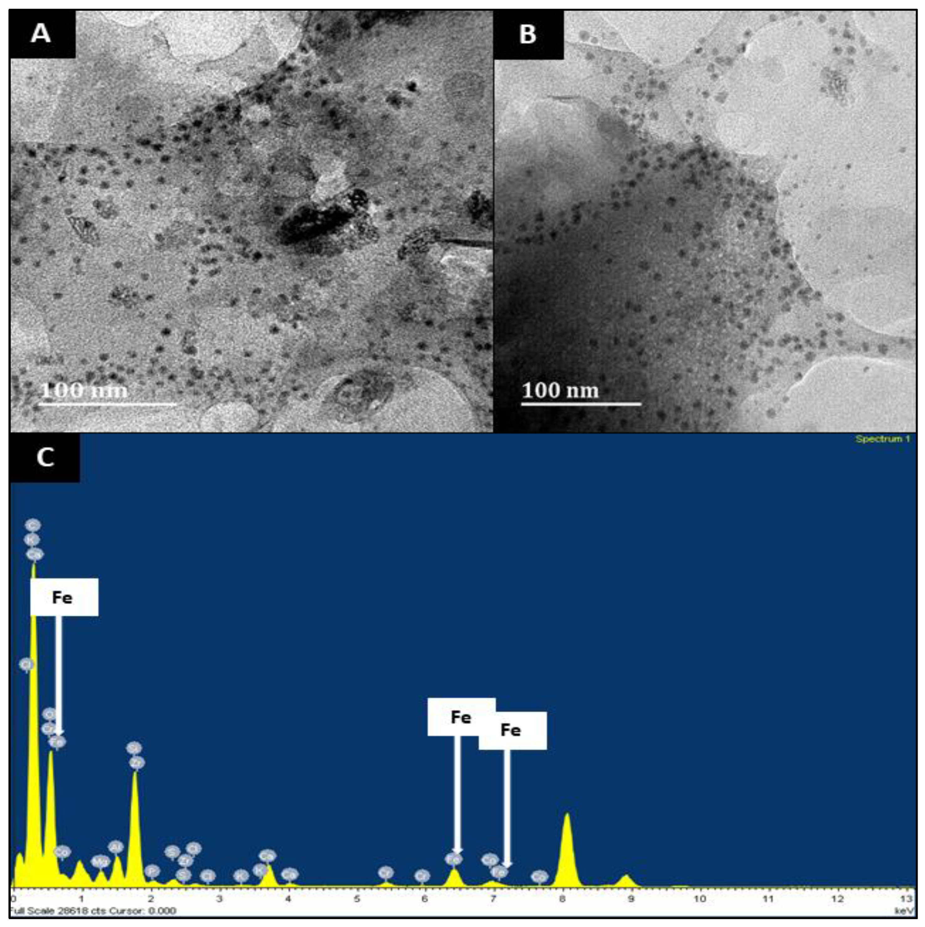 Applsci 13 08491 g003