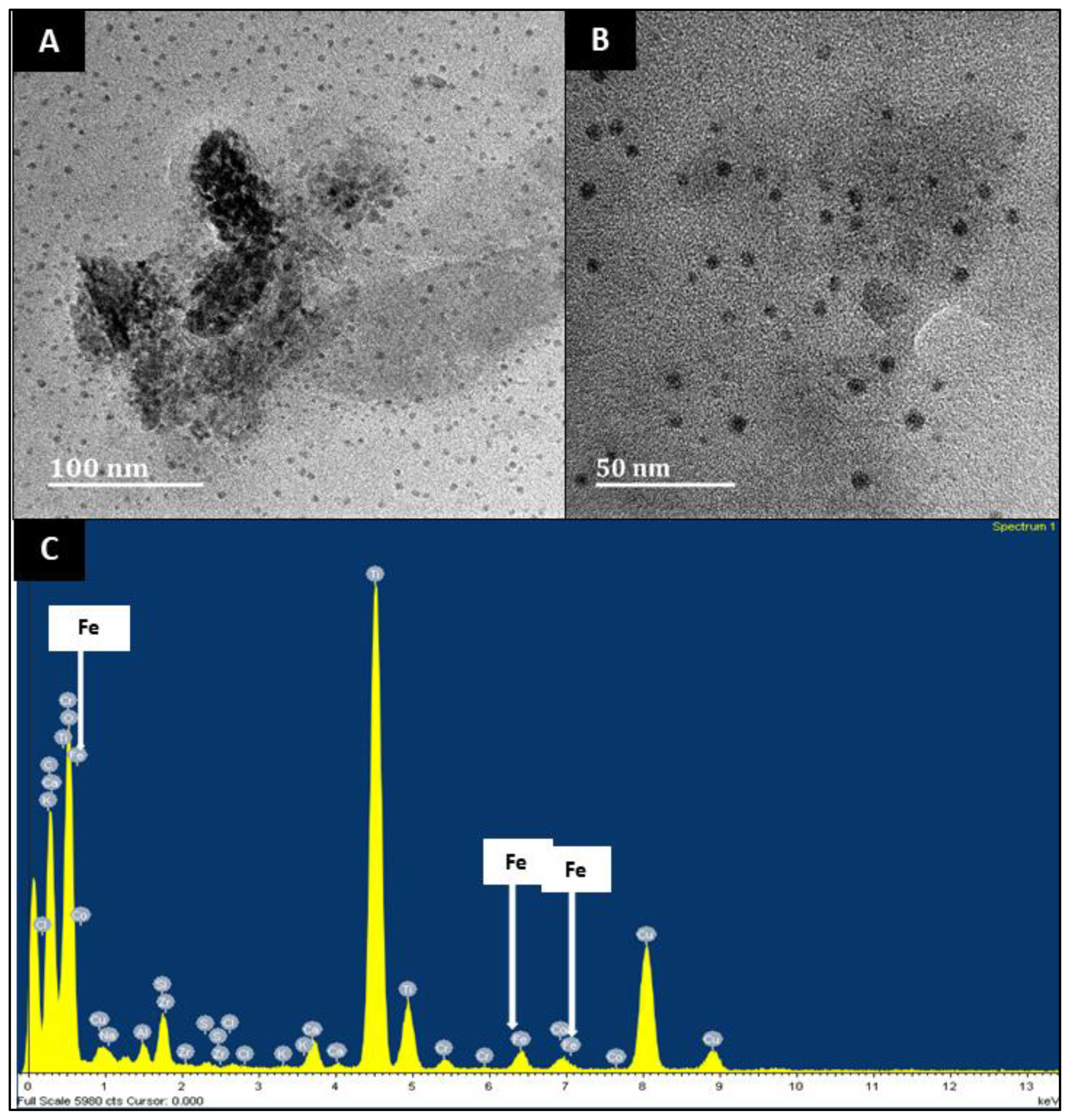 Applsci 13 08491 g004