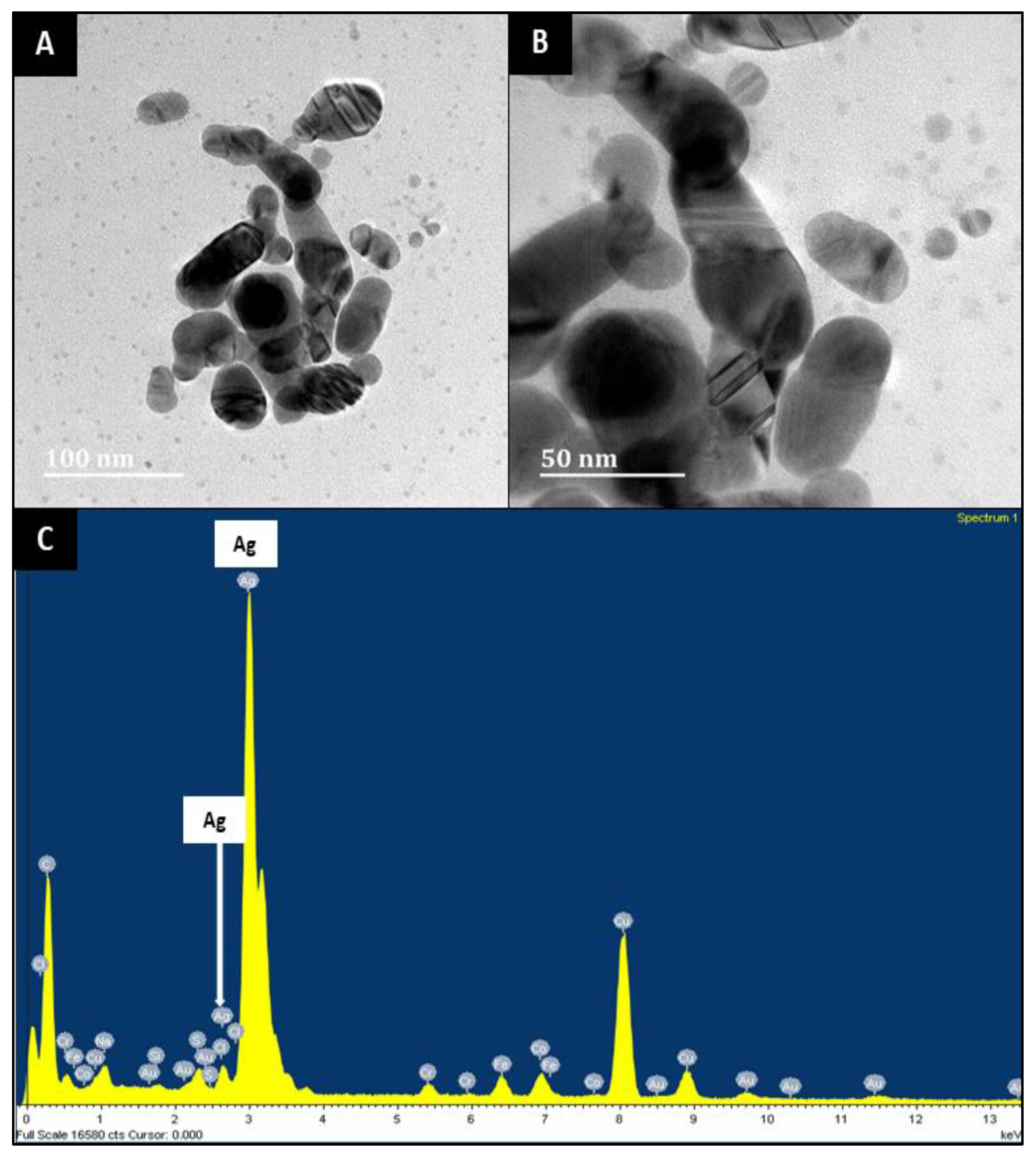 Applsci 13 08491 g005