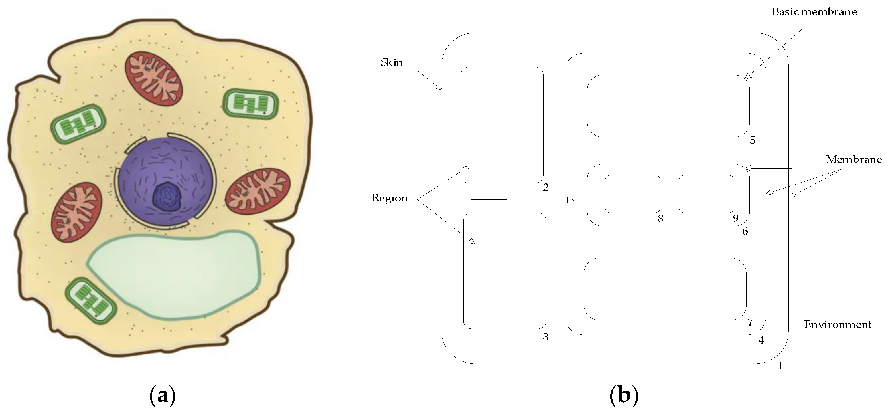 Applsci 13 08514 g001