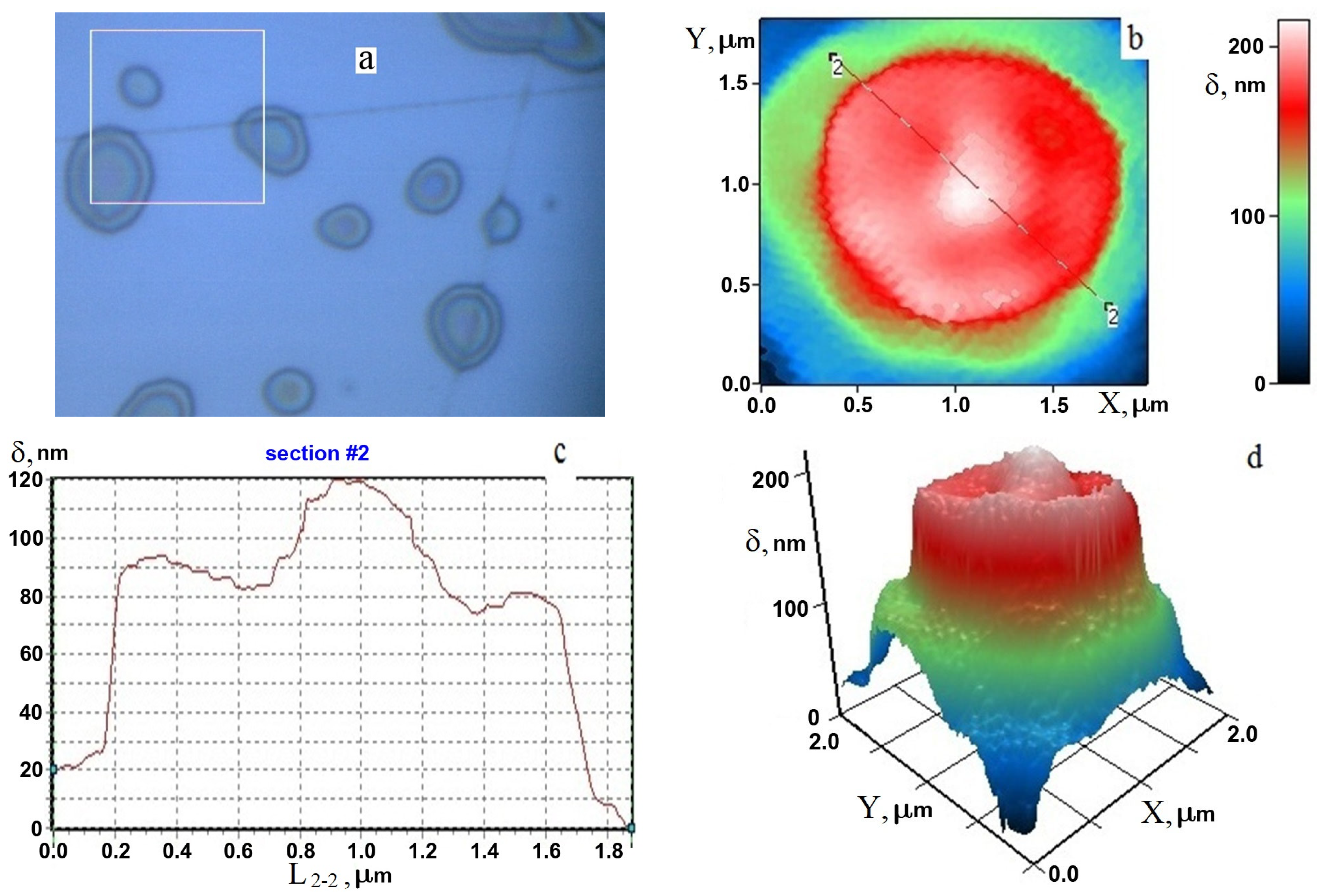 Applsci 13 08563 g001