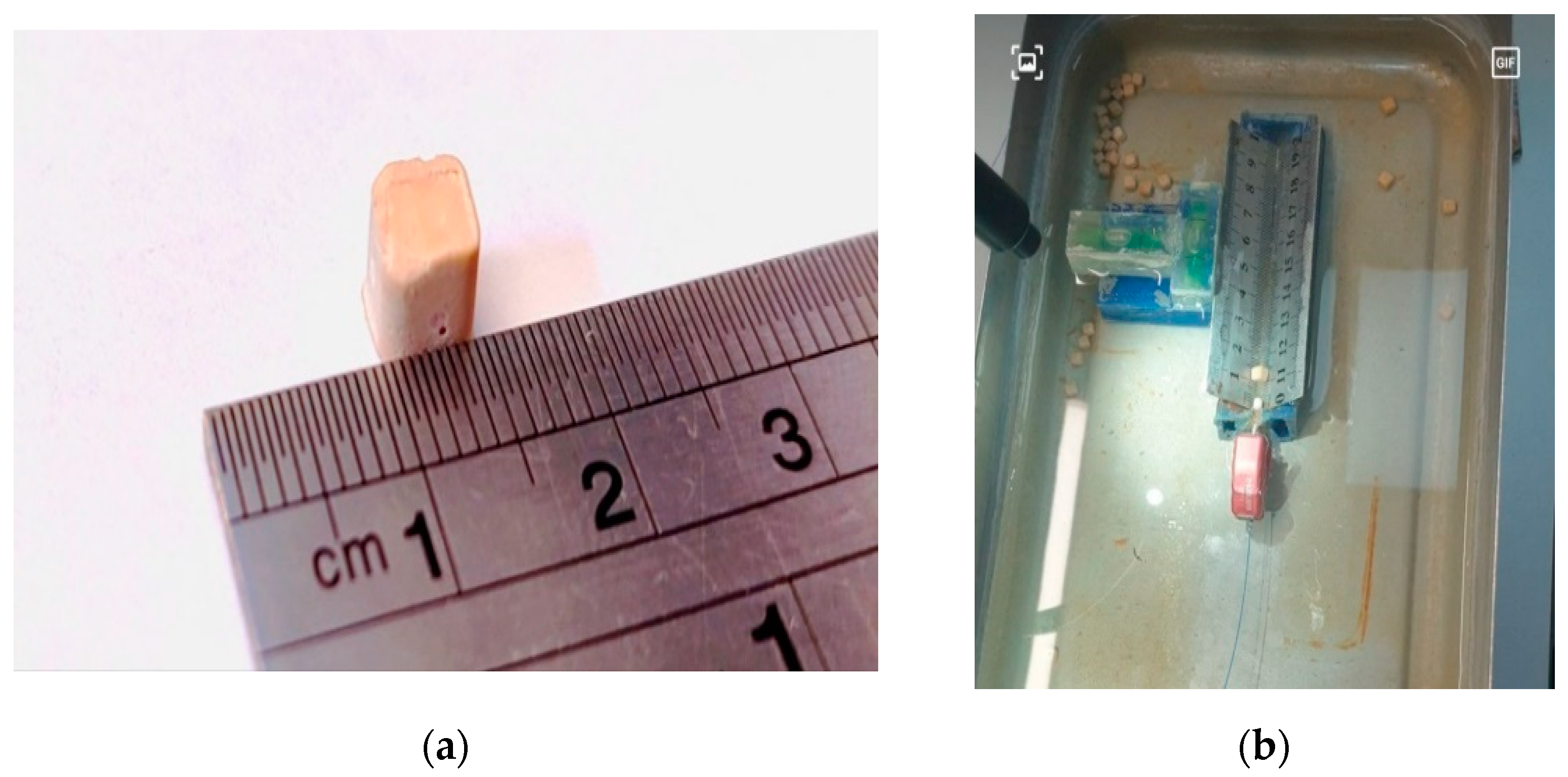 Applsci 13 08565 g001