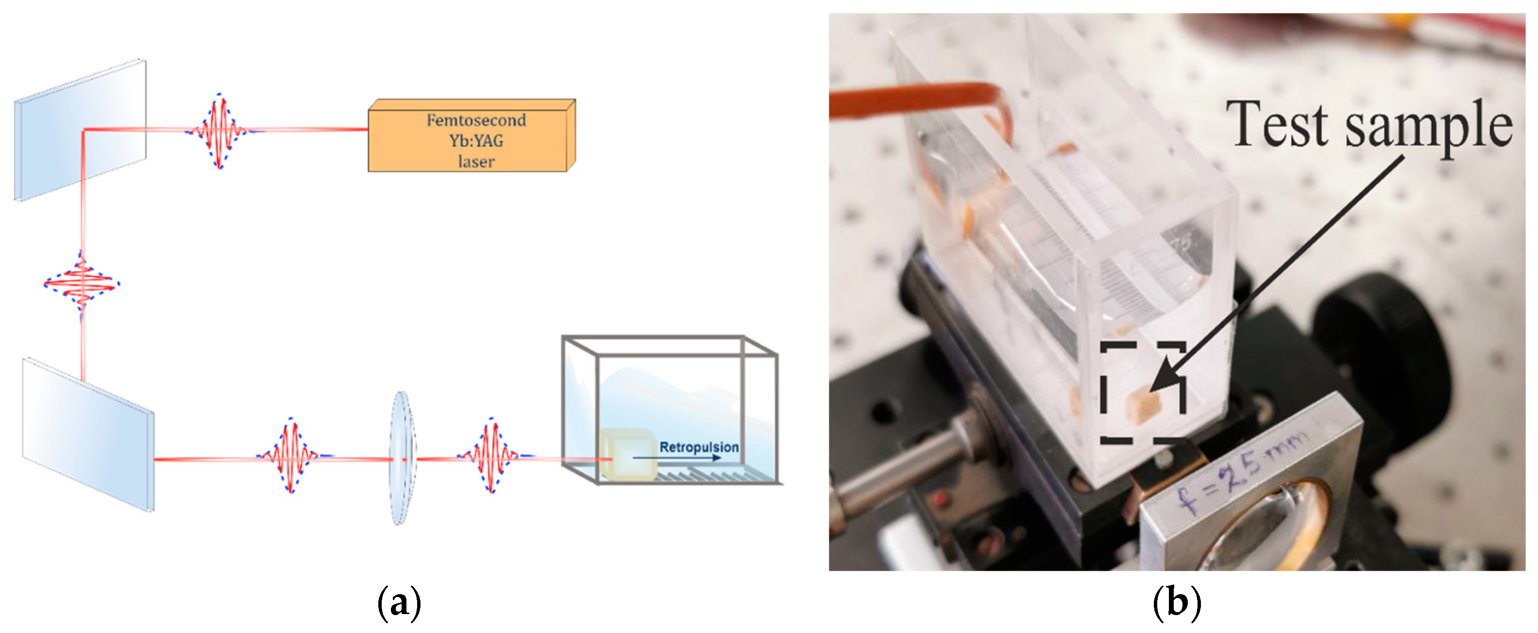 Applsci 13 08565 g002