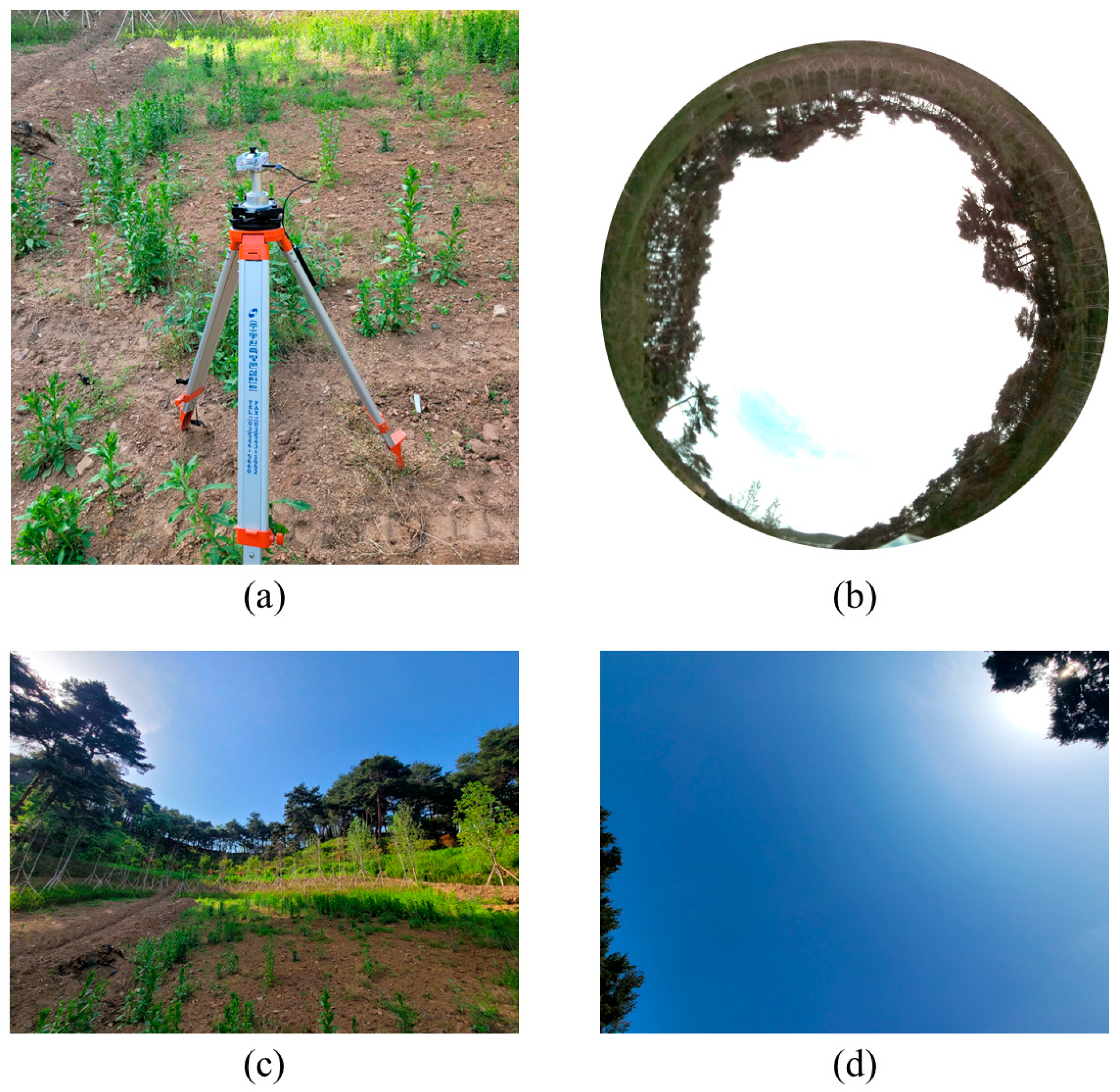 Applsci 13 08568 g007