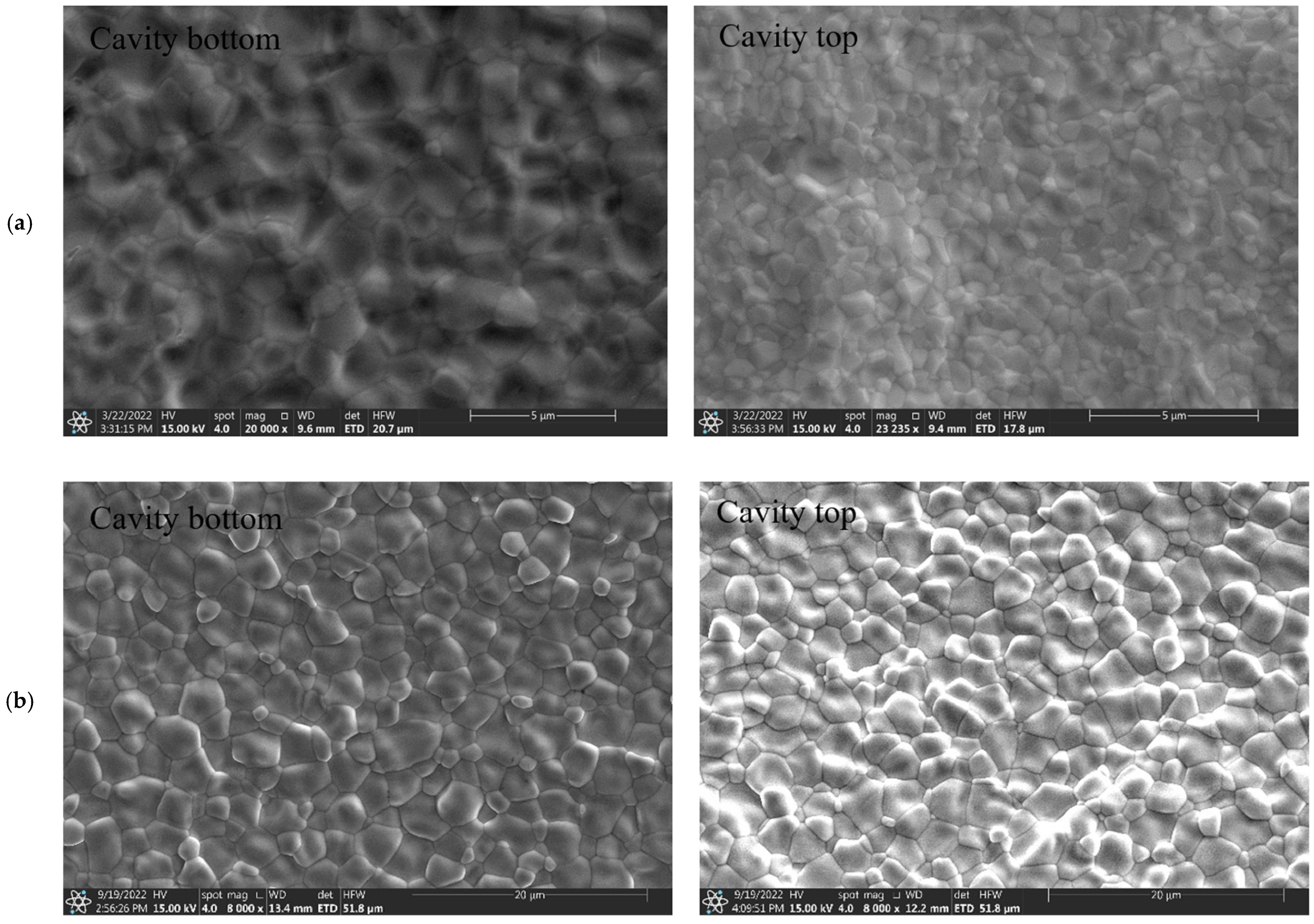 Applsci 13 08618 g013