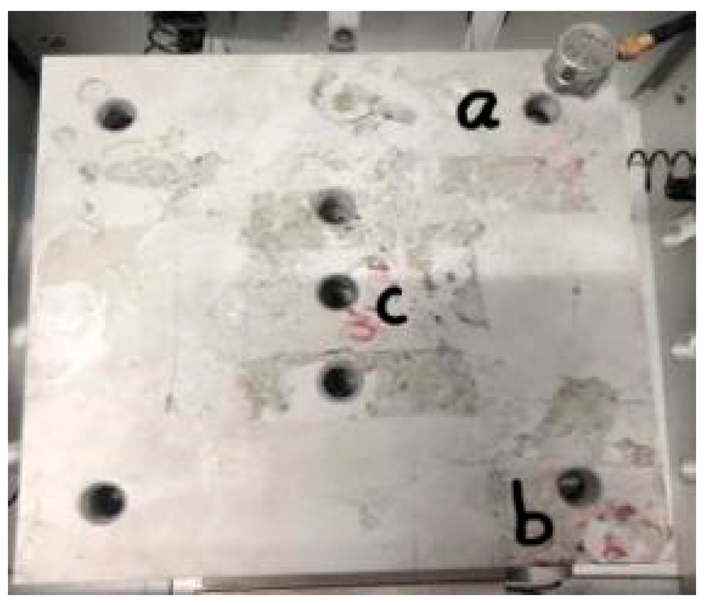 Applsci 13 08632 g011