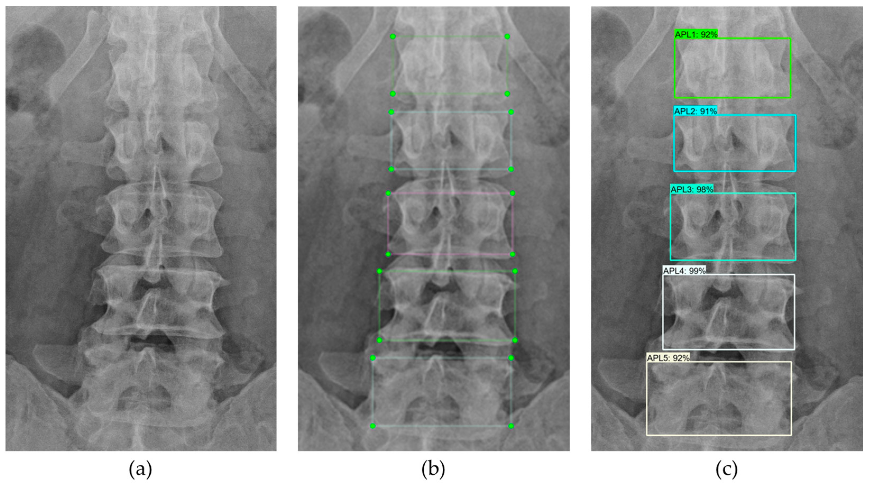 Applsci 13 08646 g007