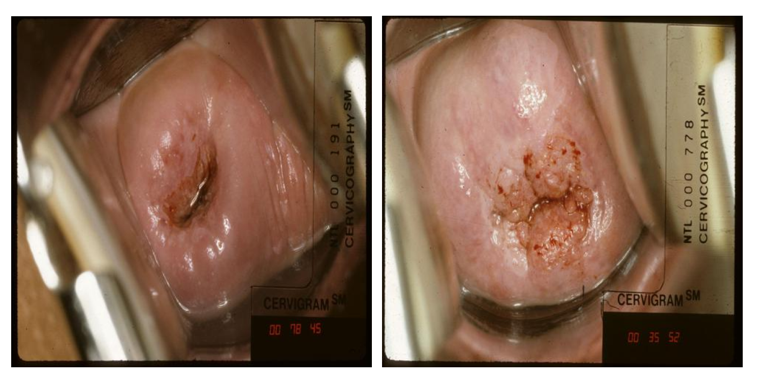 Applsci 13 08671 g006