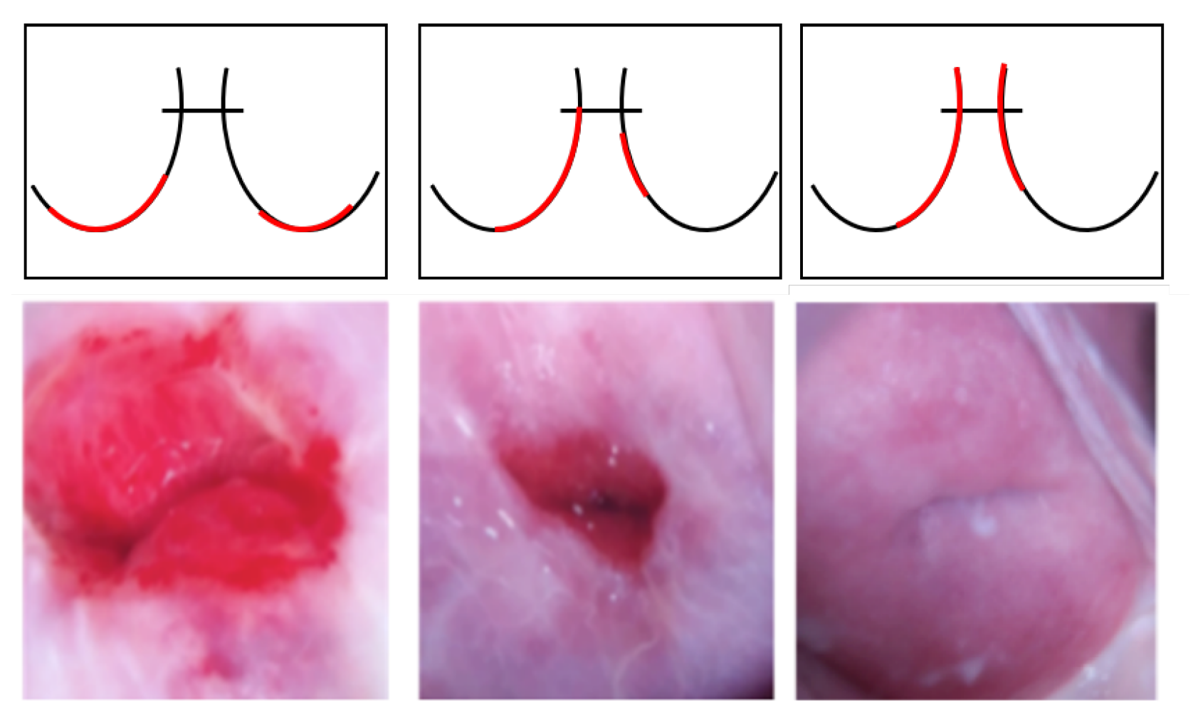 Applsci 13 08671 g007