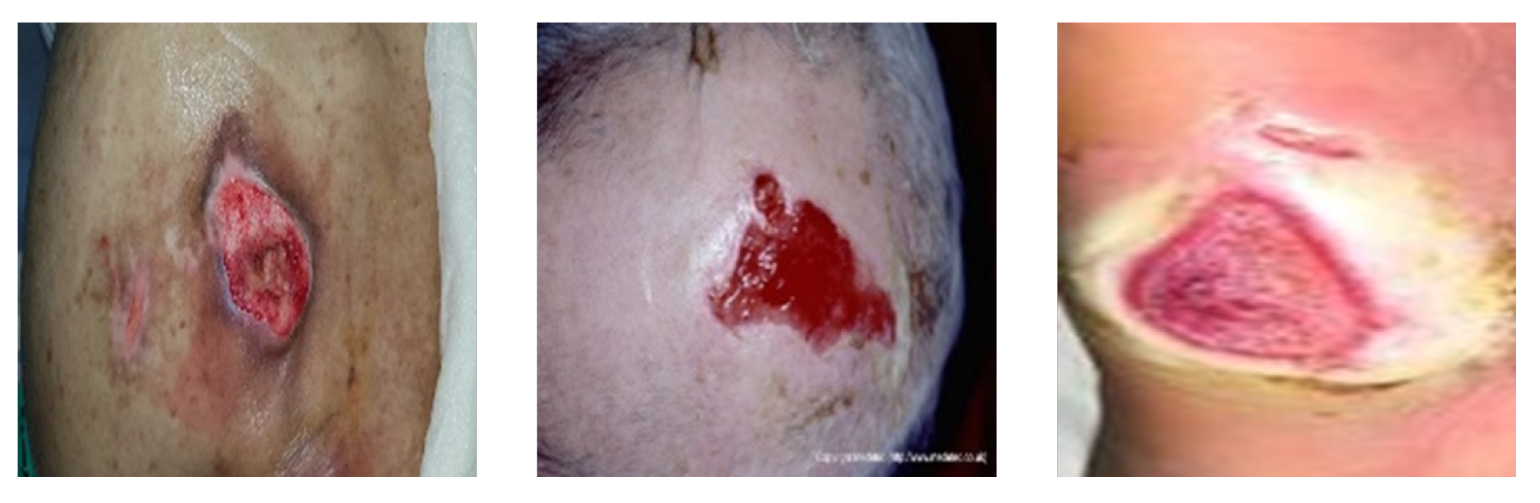 Applsci 13 08671 g009