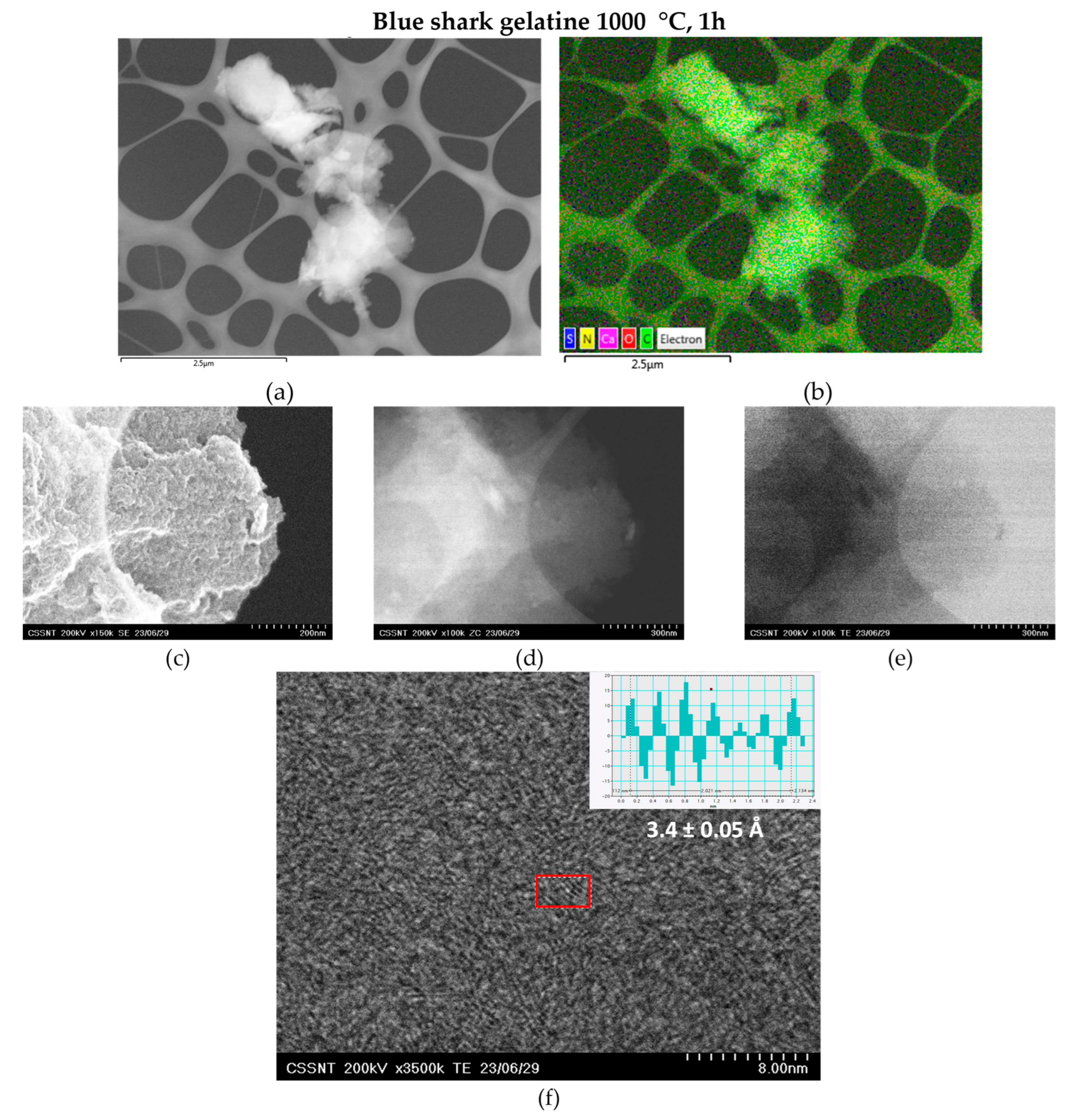 Applsci 13 08676 g006