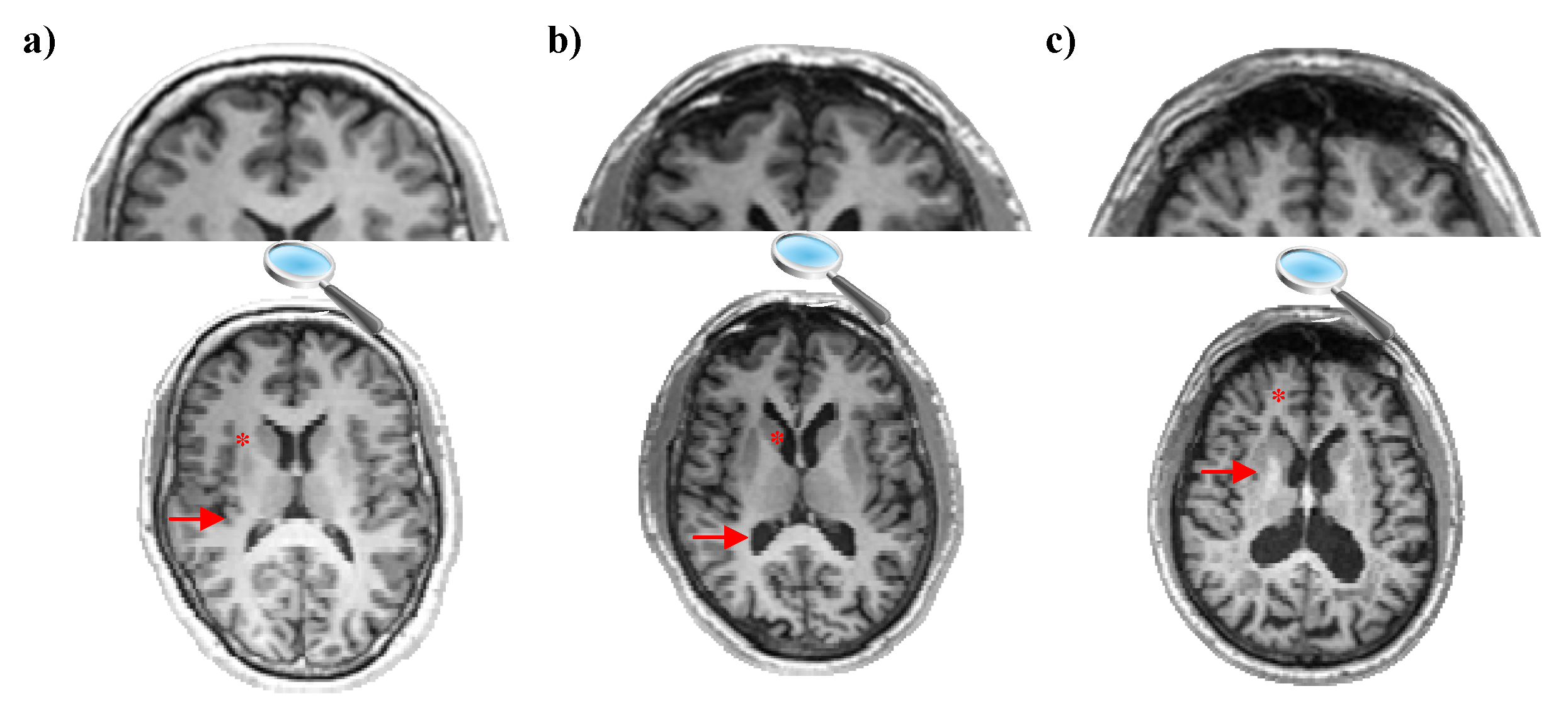 Applsci 13 08686 g001