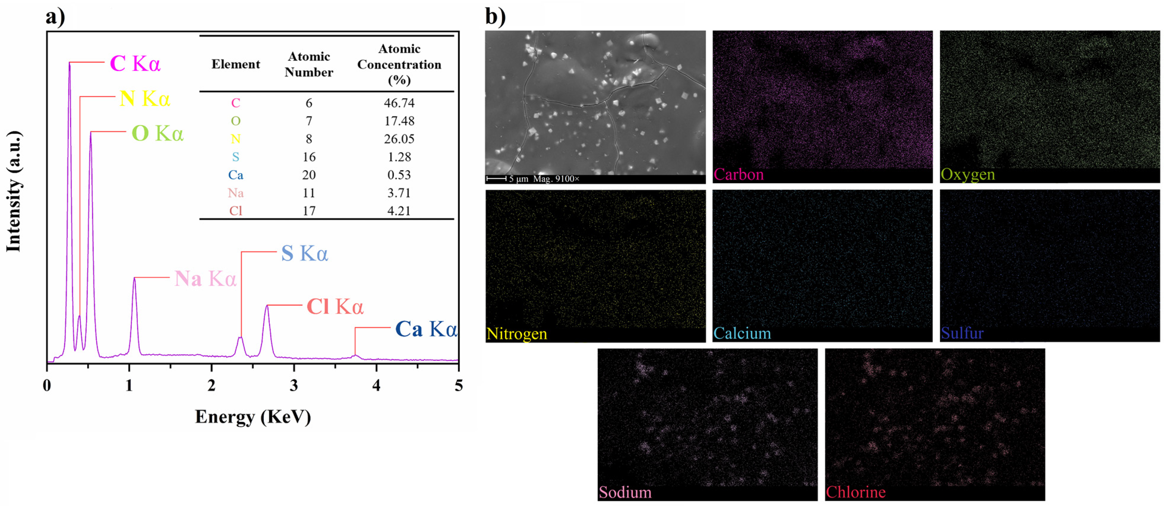 Applsci 13 08730 g003 Applsci 13 08730 g003