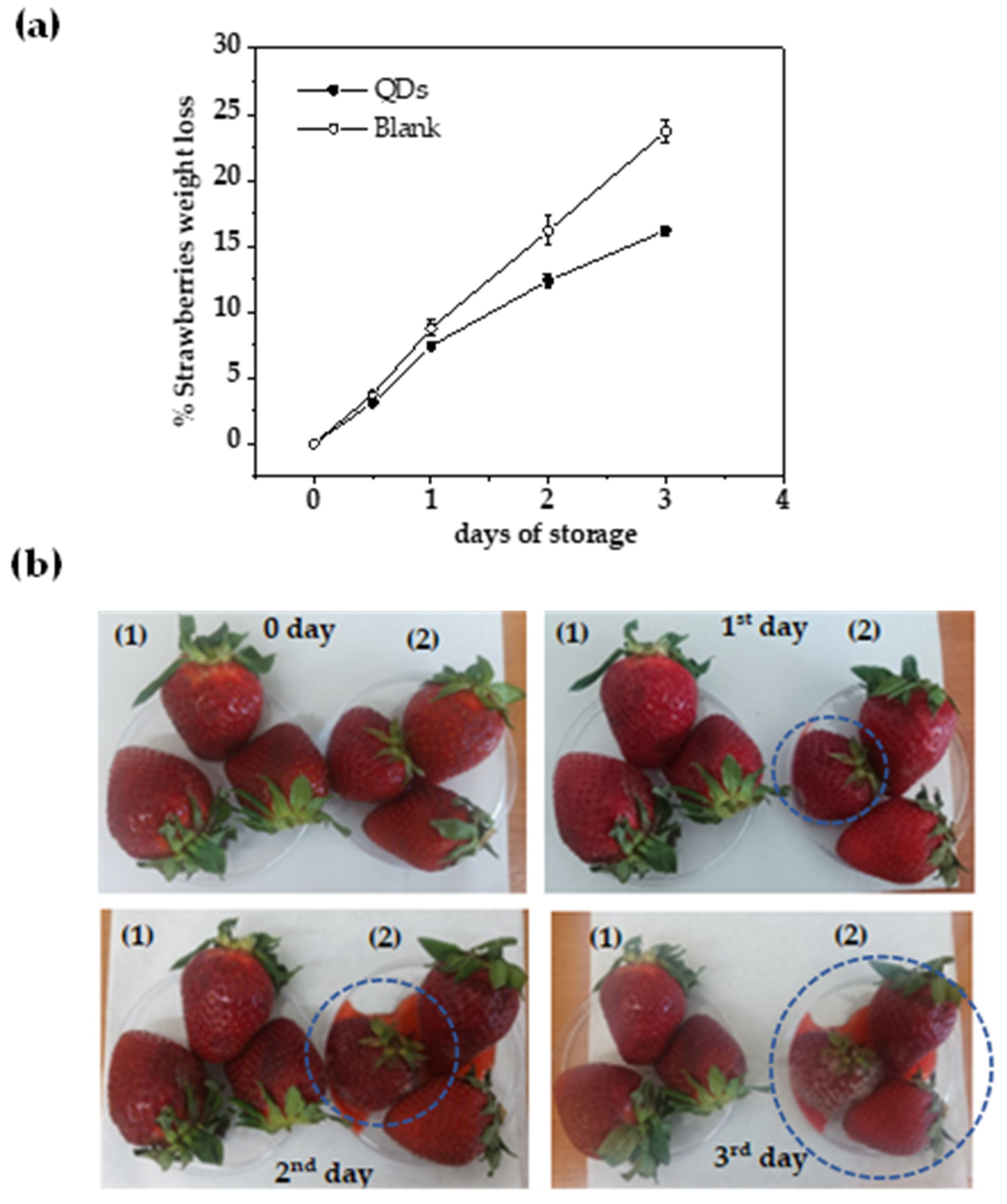 Applsci 13 08730 g012 Applsci 13 08730 g012