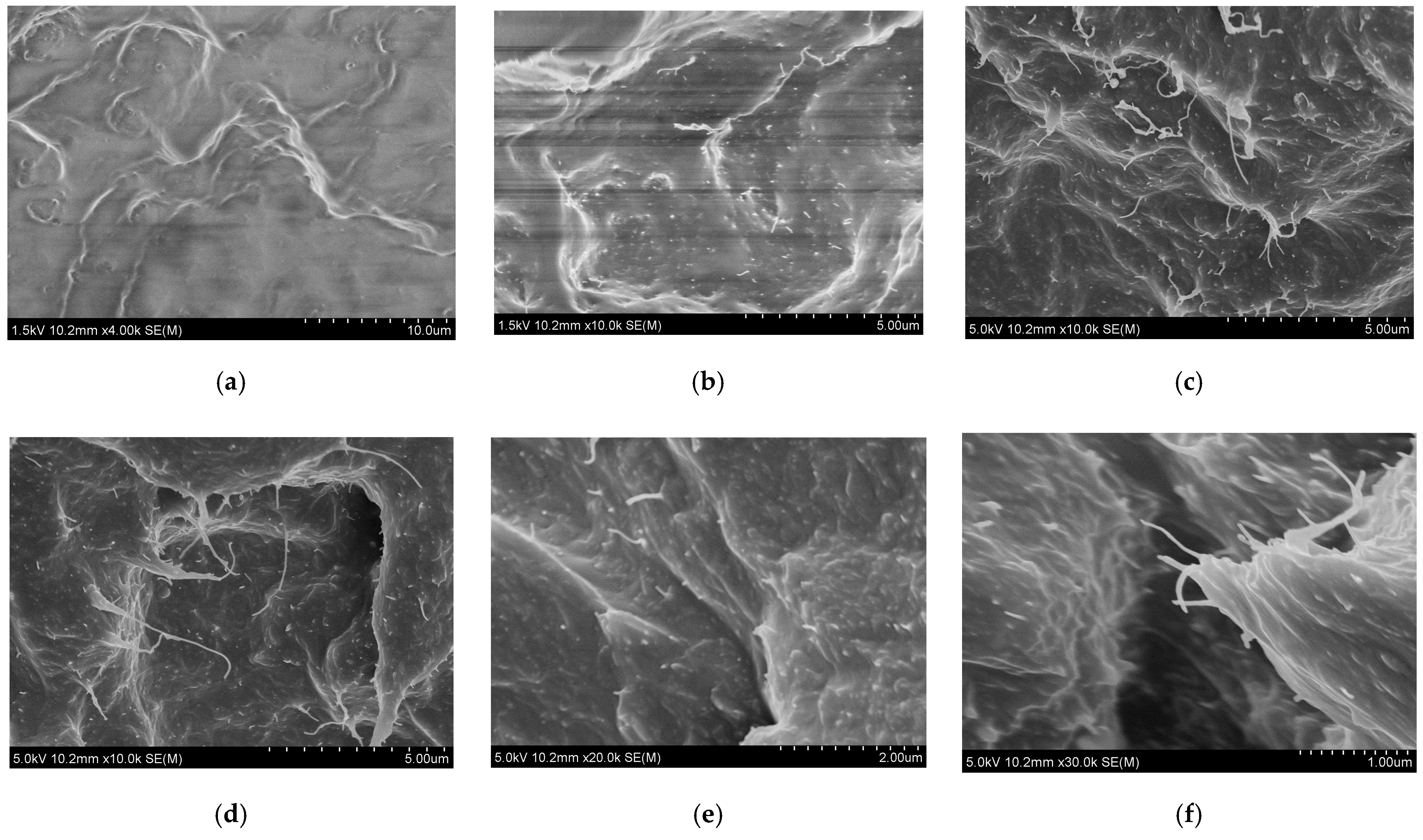 Applsci 13 08862 g013