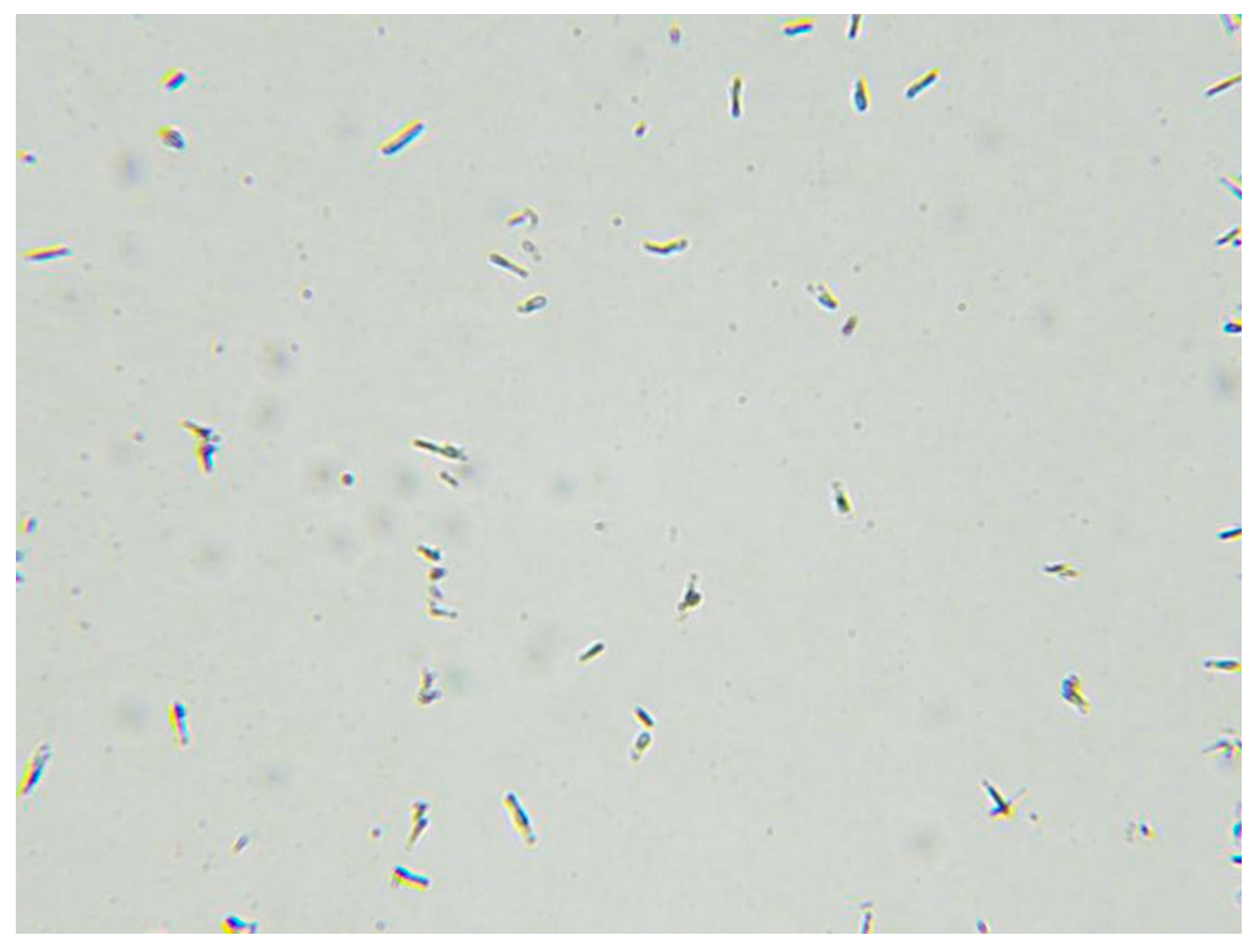 Applsci 13 08863 g002